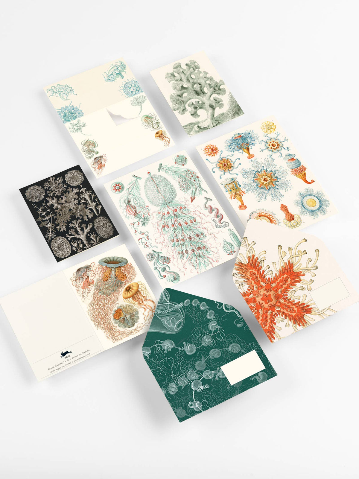 Art Forms in Nature Correspondence Set