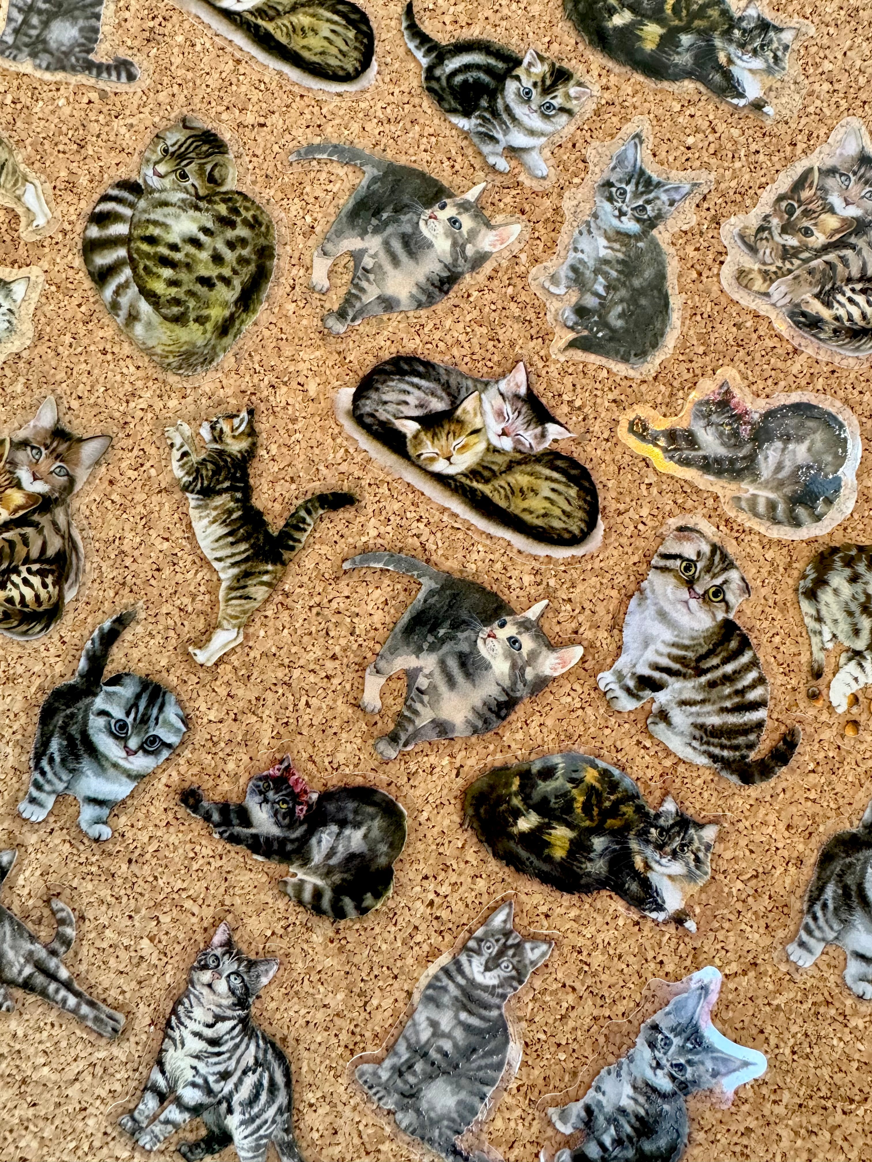 Tabby cat sticker pack