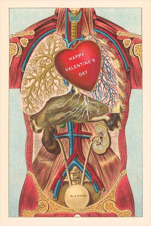 Anatomical Happy Valentine's Day Card