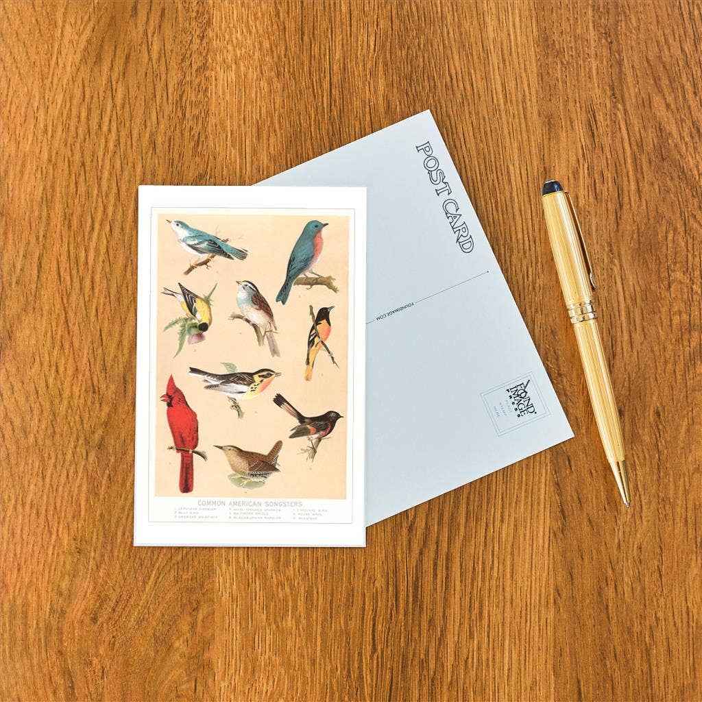 Common American Songbirds Postcard