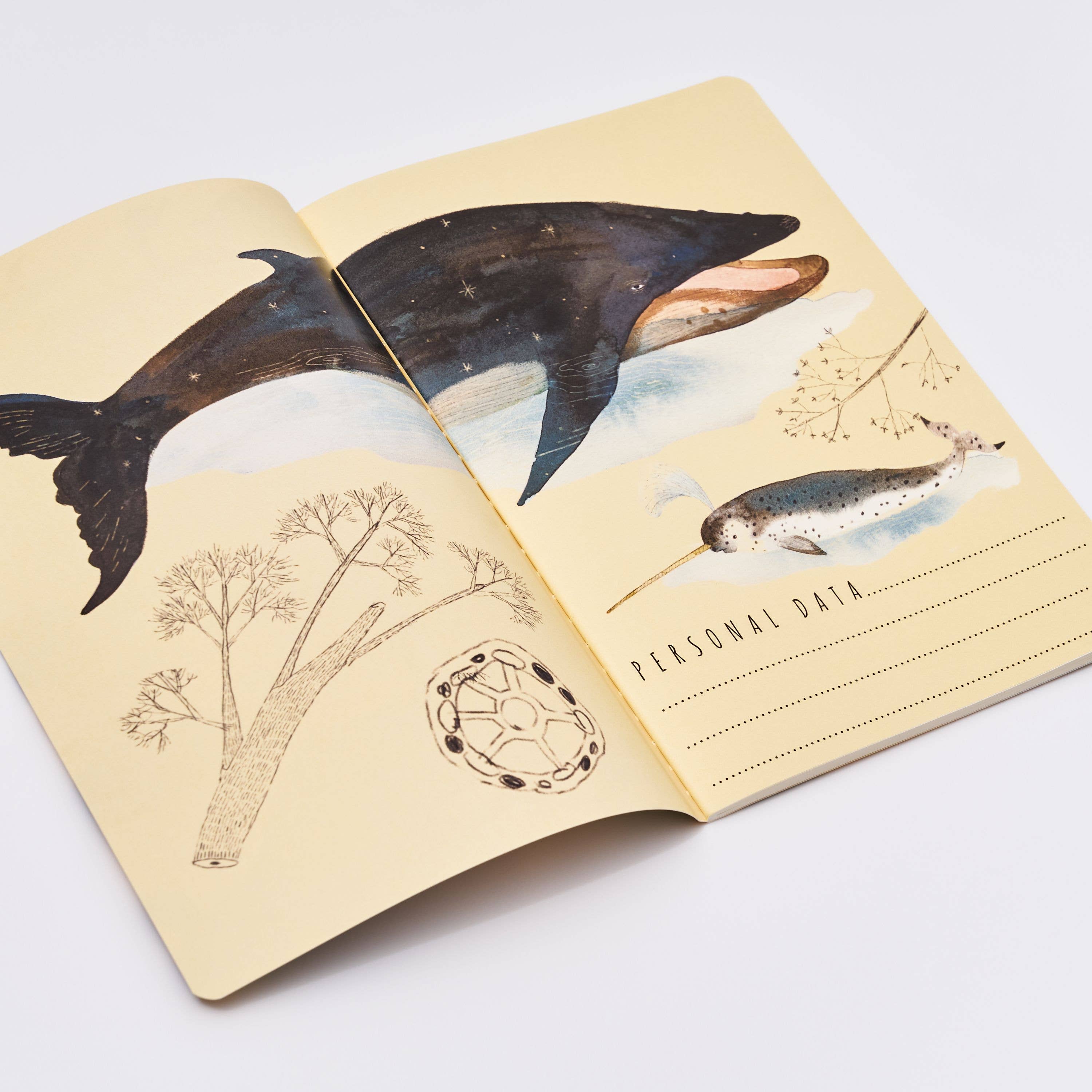Whales A5 Notebook