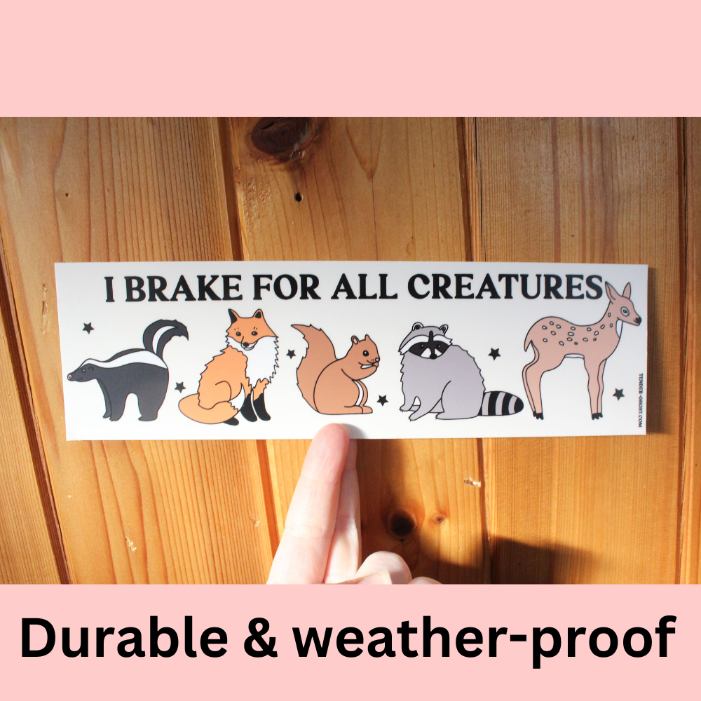 I Brake For All Creatures Bumper Sticker