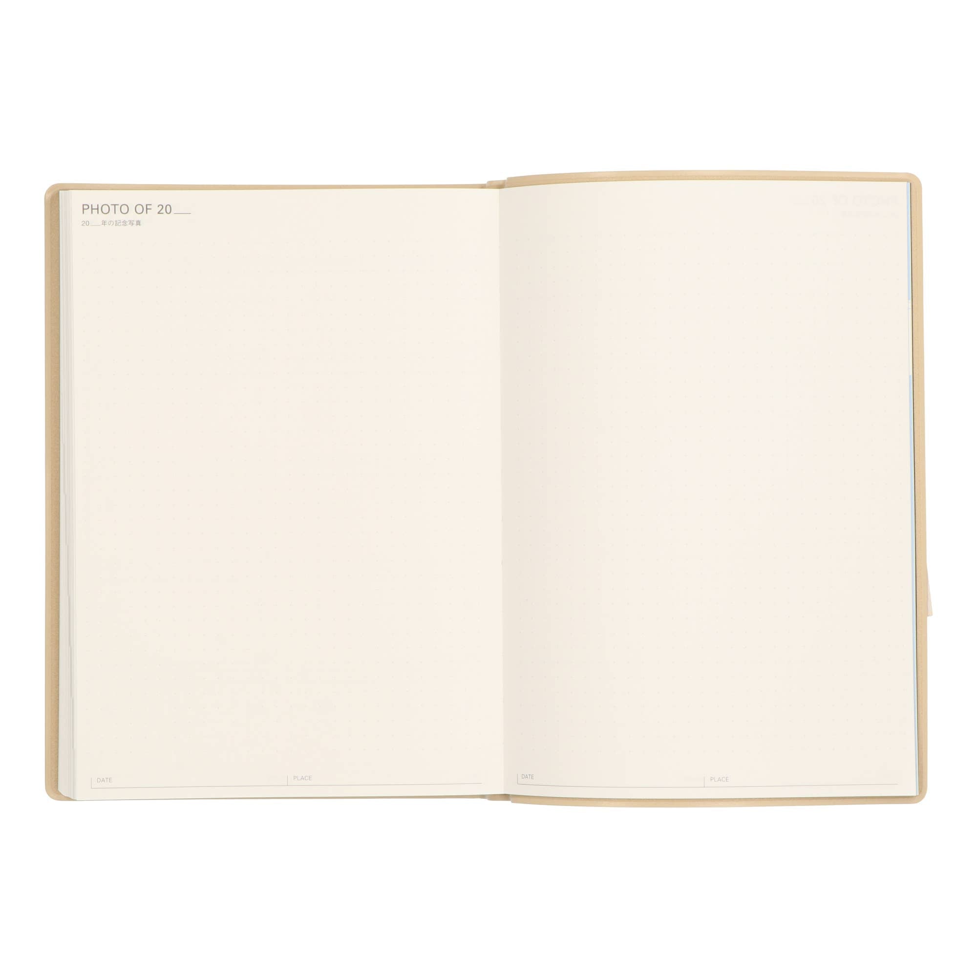 Undated Three Years Diary / Pink
