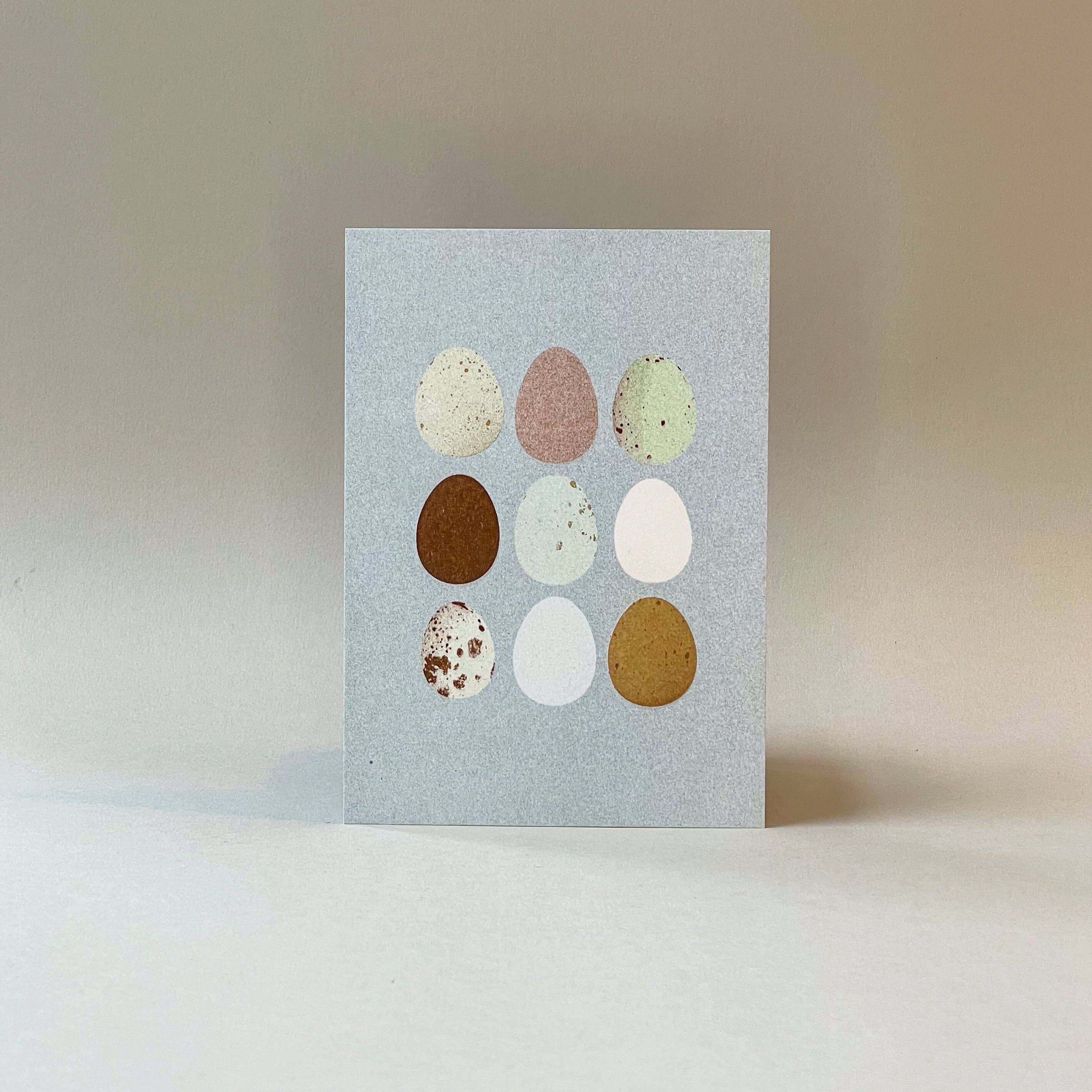 Eggs Nature Postcard