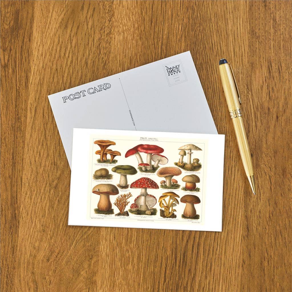 Varieties of Mushroom Postcard
