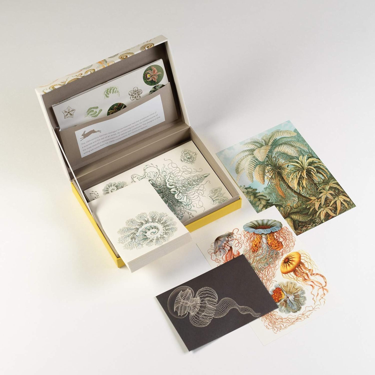 Letter Writing Set / Art Forms in Nature