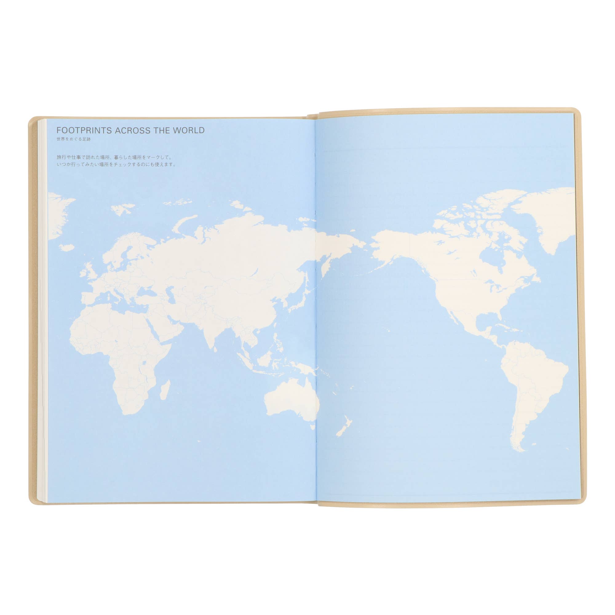 Undated Three Years Diary / Pink