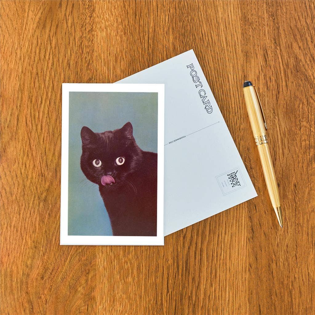 Black Cat postcard