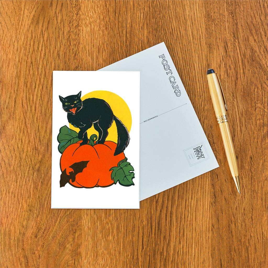 Black Cat with Pumpkin Postcard