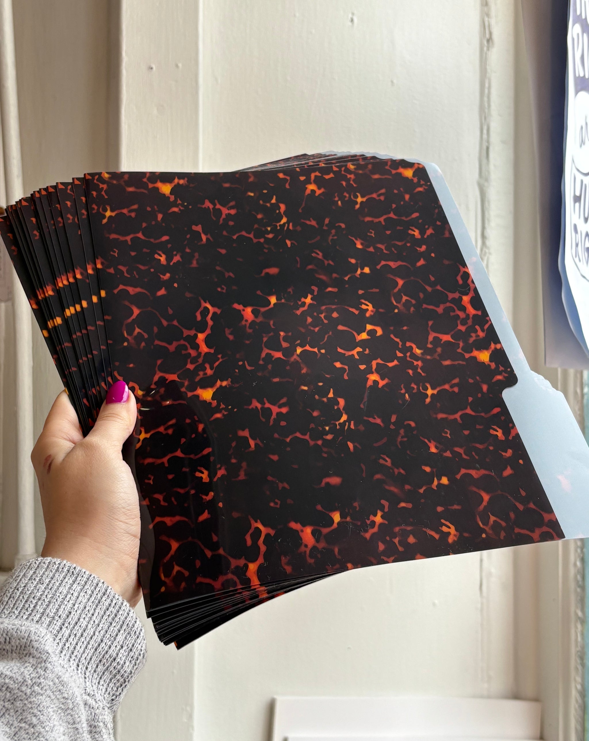 Little Shell Folder File Tortoise Shell Folder