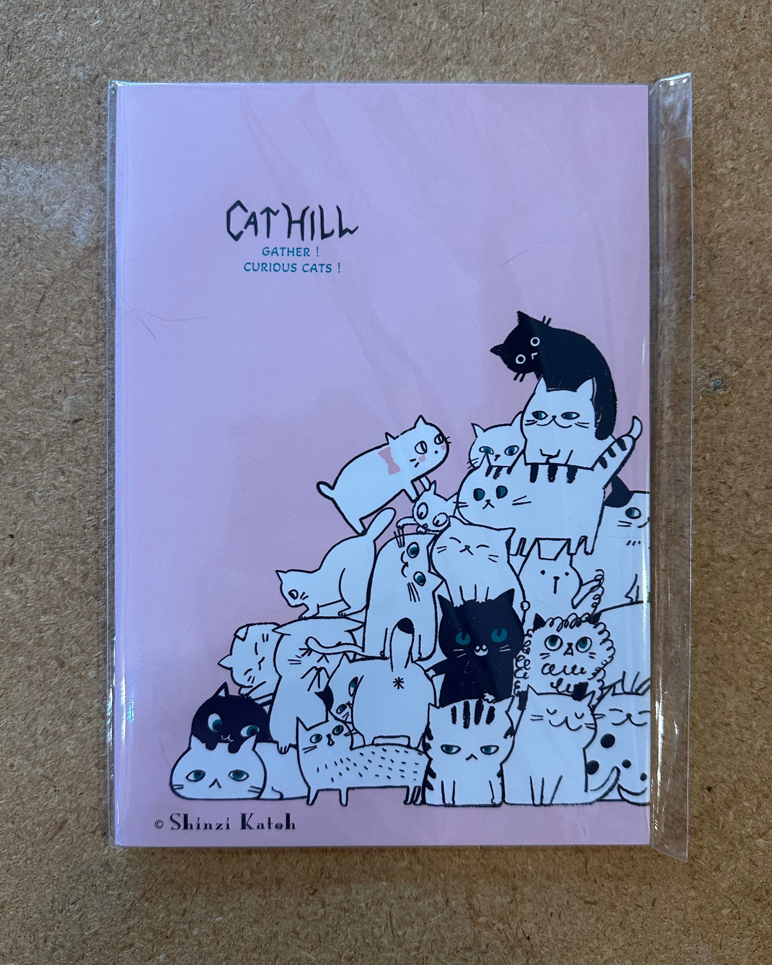 Shinzi Katoh B6 Notebook / Cat Hill / Pink