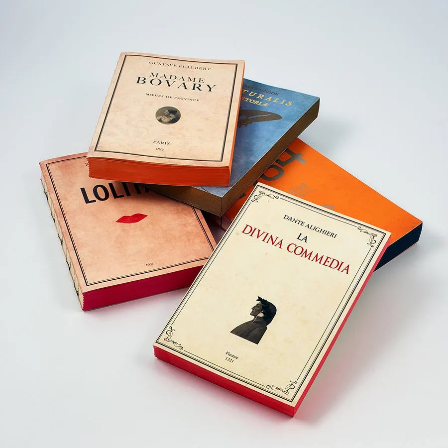Libri Muti Journal: Madame Bovary