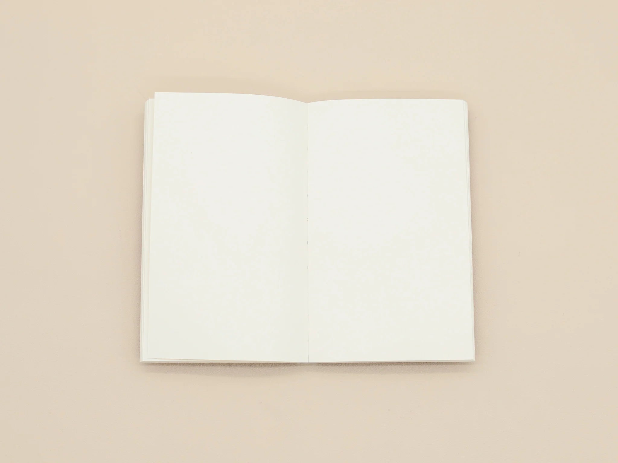 Paperback Writers Notebook Series / Masochism