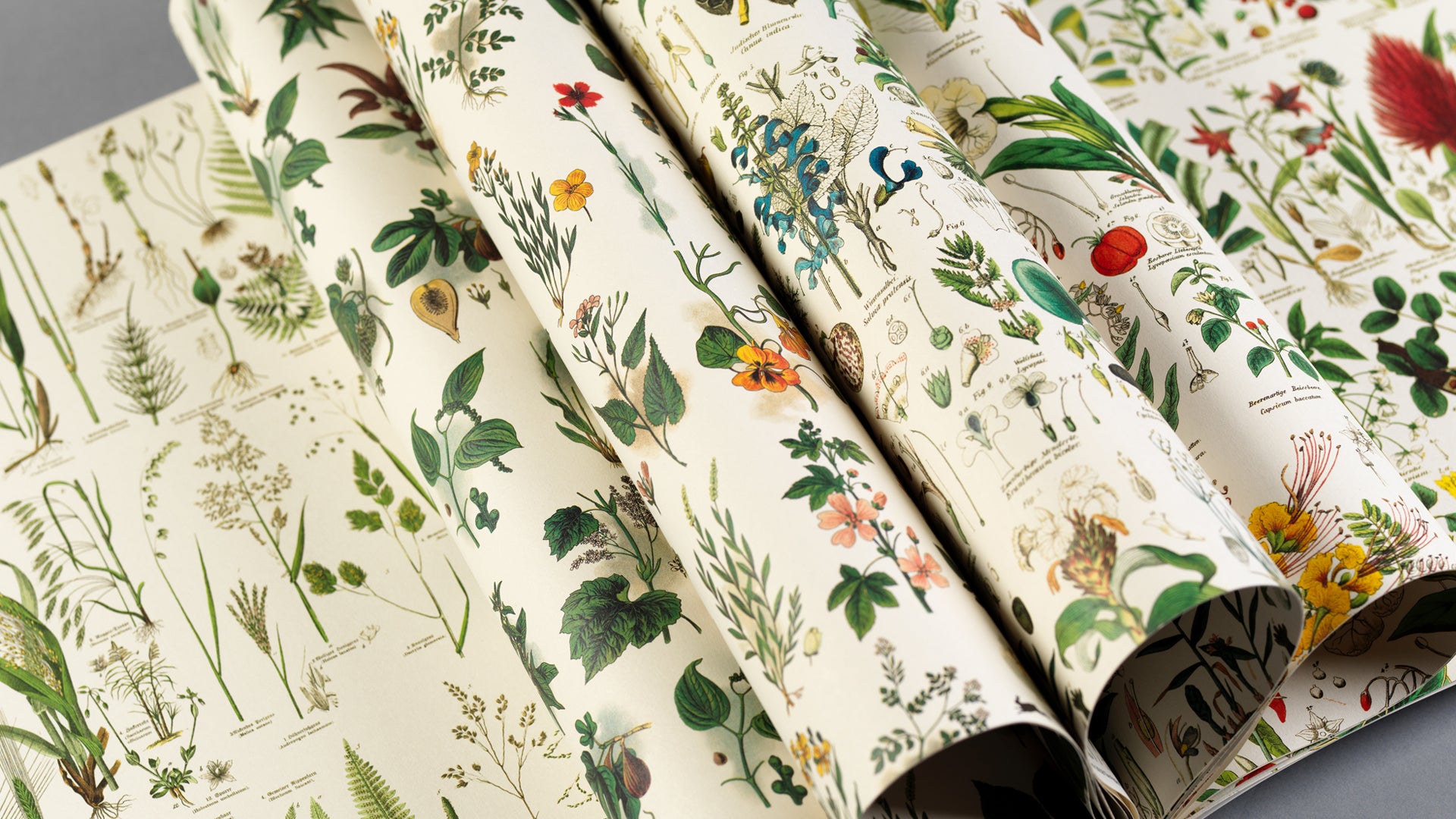 Gift Wrap and Creative Paper Book / Flora