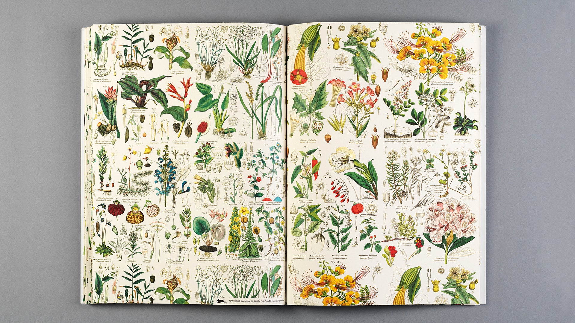 Gift Wrap and Creative Paper Book / Flora