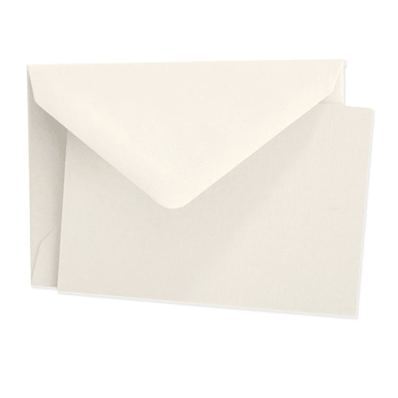 Small Vellum Note Card Box / Set of 25