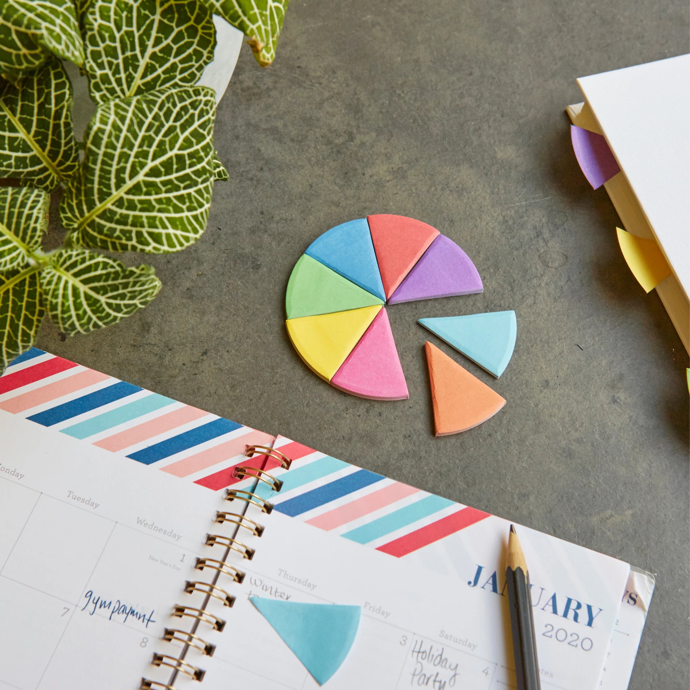 Color Wheel Sticky Note Page Markers