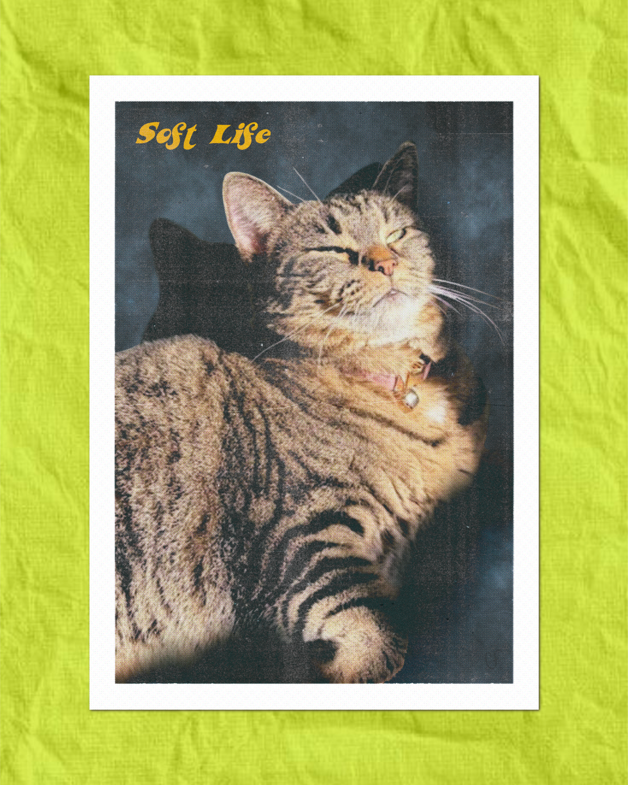 Soft Life Parsnip Postcard
