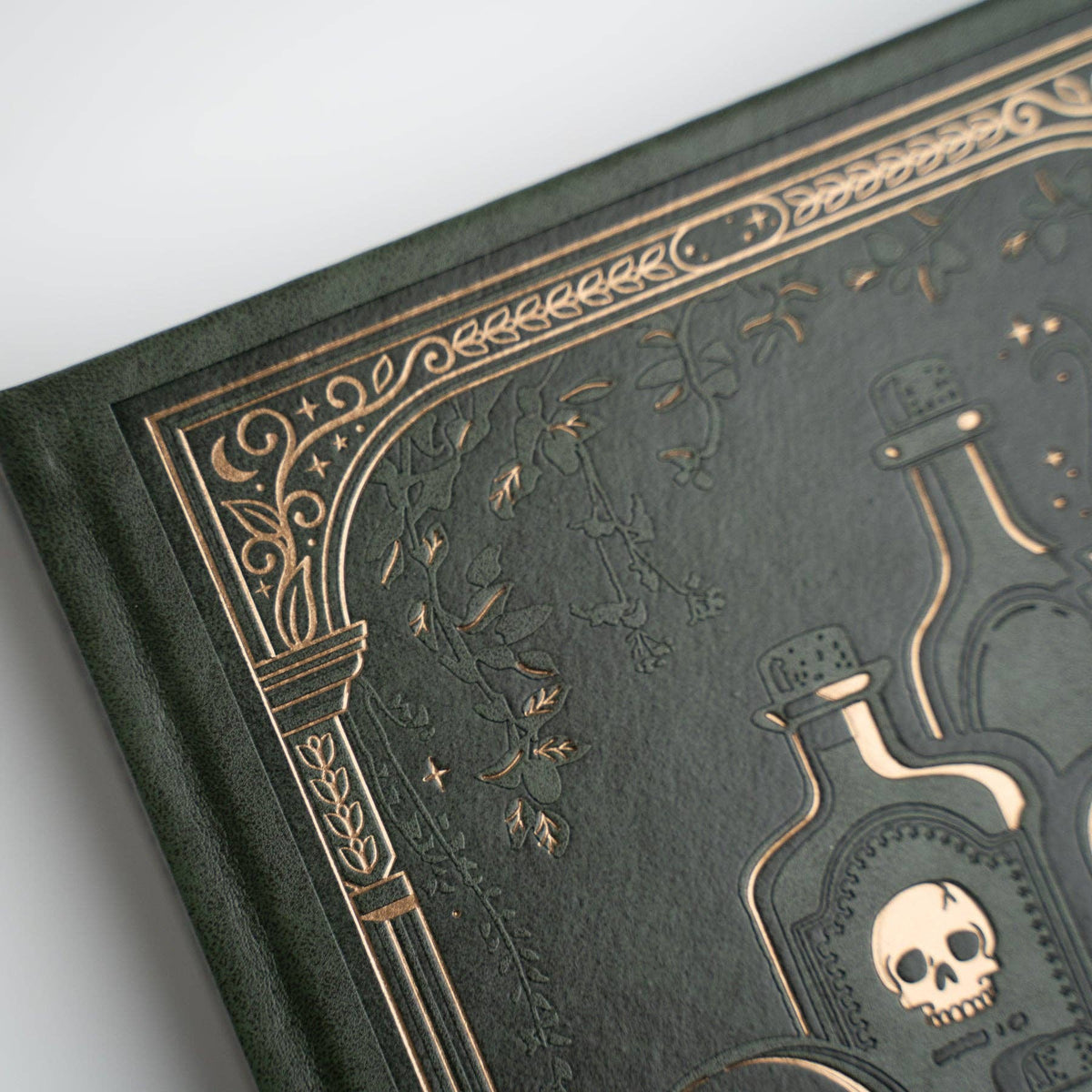 Apothecary Shelf Notebook / Dot Grid / A5