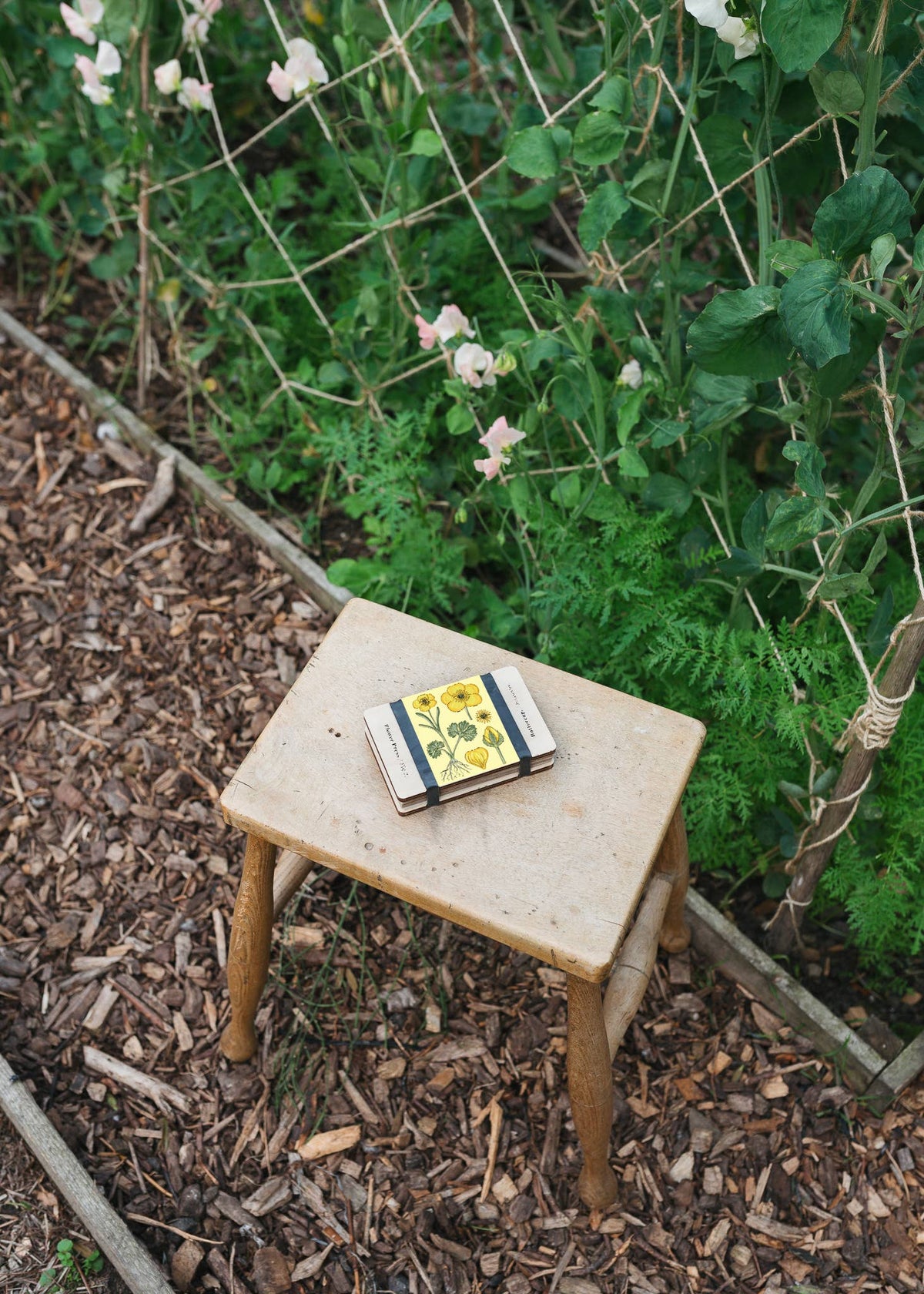 Pocket Flower Press / Vintage Buttercup