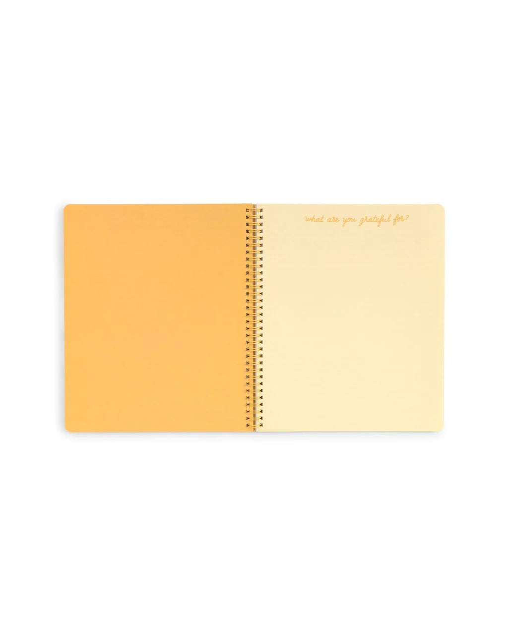 Sunshine Super Bloom Notebook