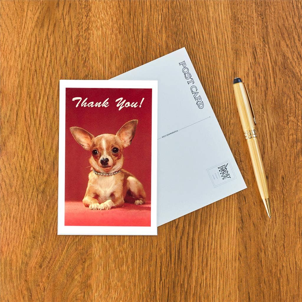 Thank You Chihuahua Postcard