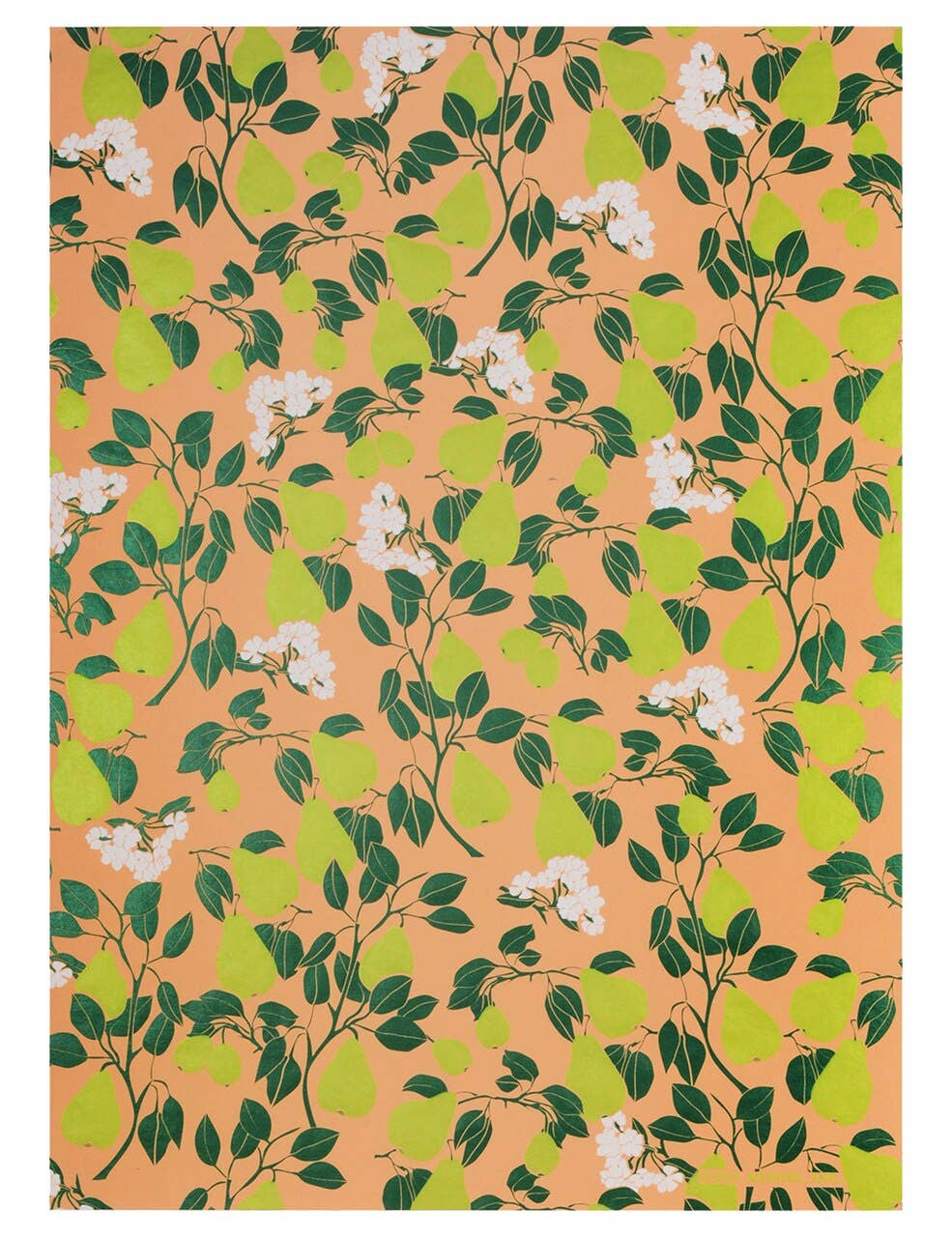 Pear Blossom Gift Wrap