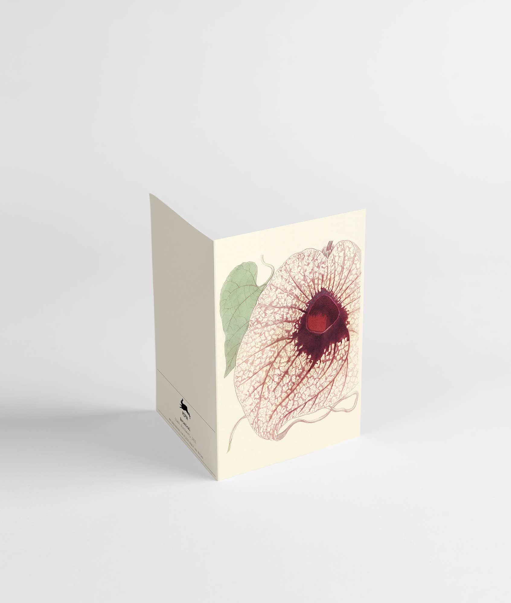 Botanical Correspondence Set