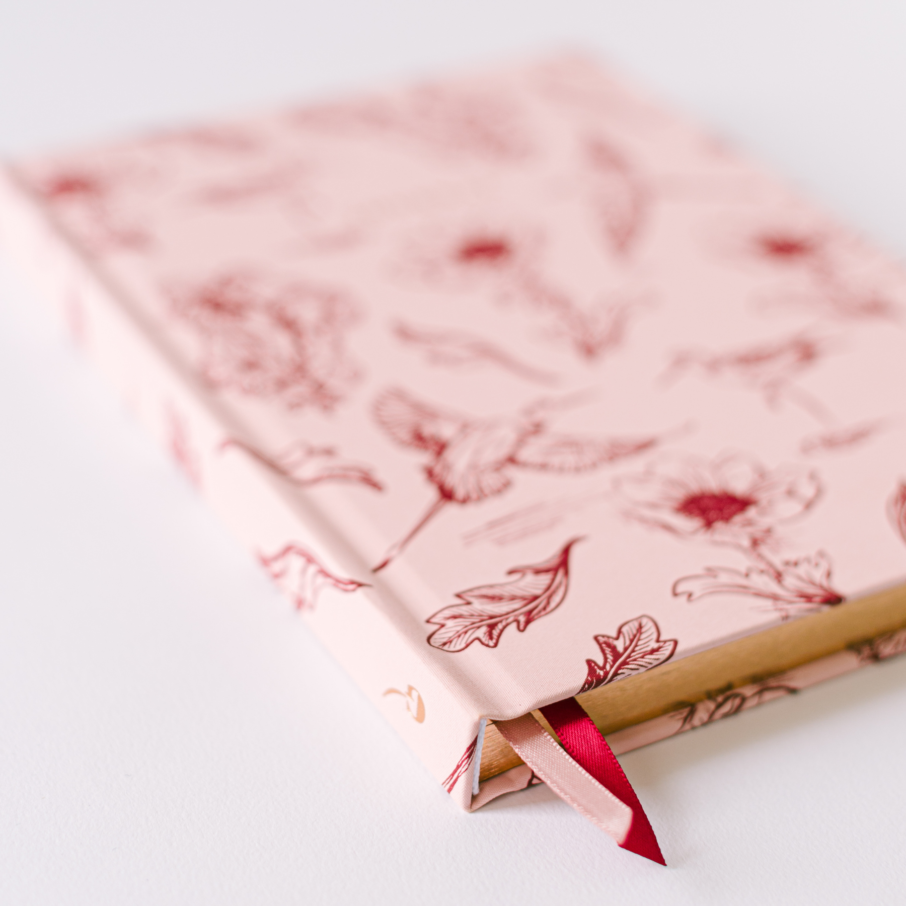 Pink Botanical Bird Toile Journal
