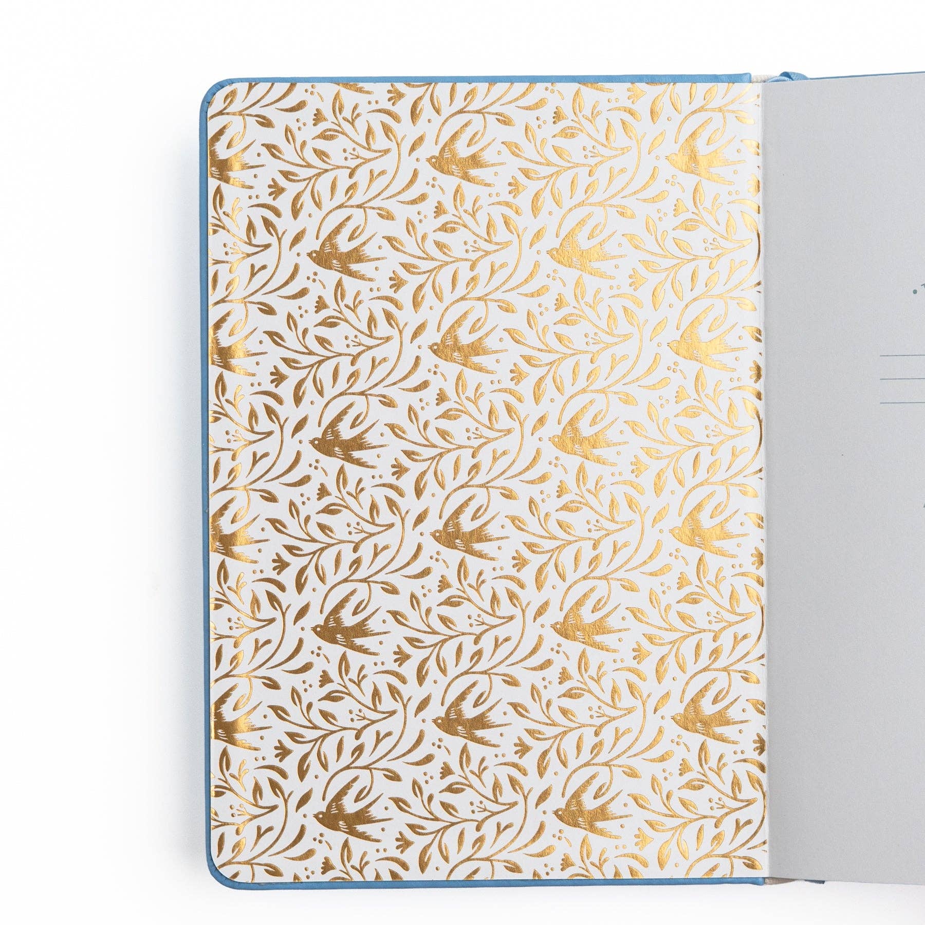 Songbird In Blue Notebook / Dot Grid