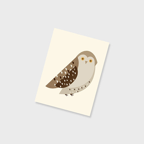 Nature's Friend Notebook / Owl