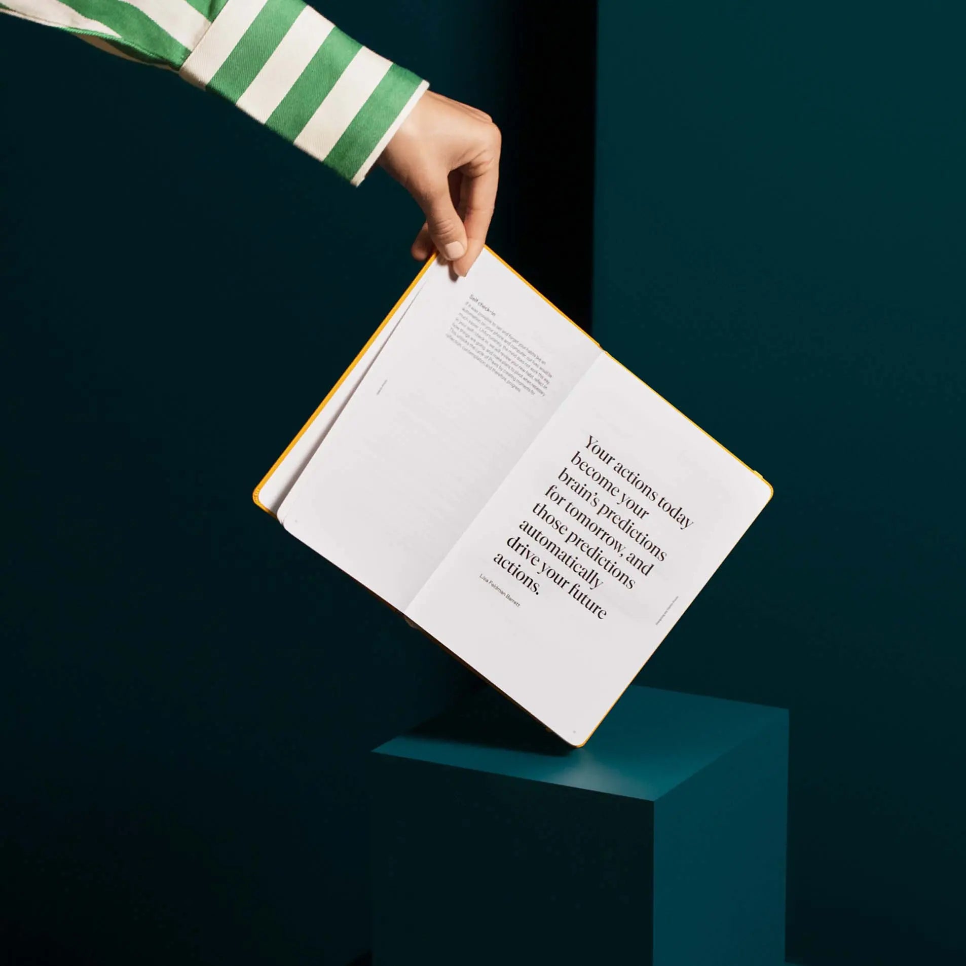 Stone Paper Praxis Journal Set