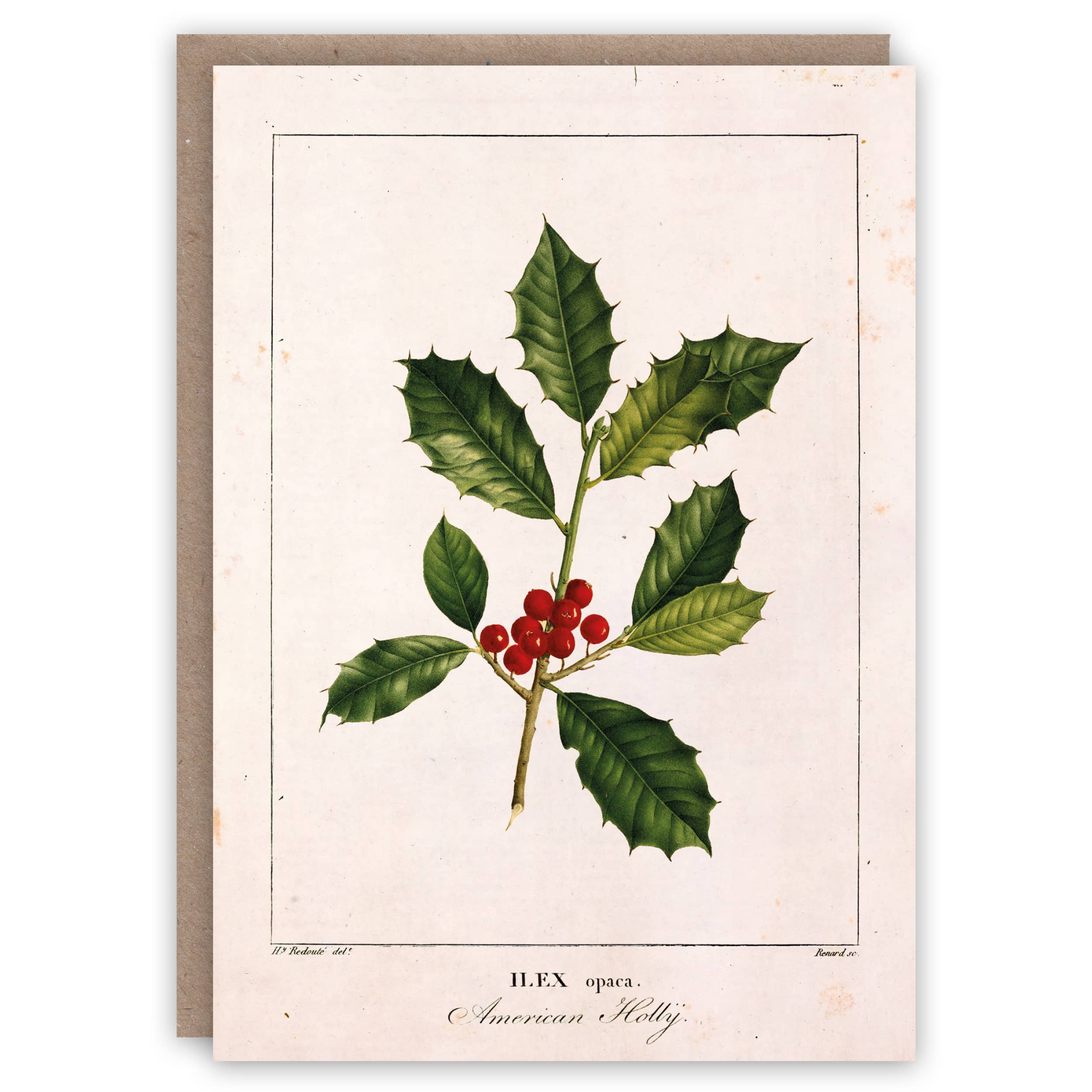 Holly Christmas card