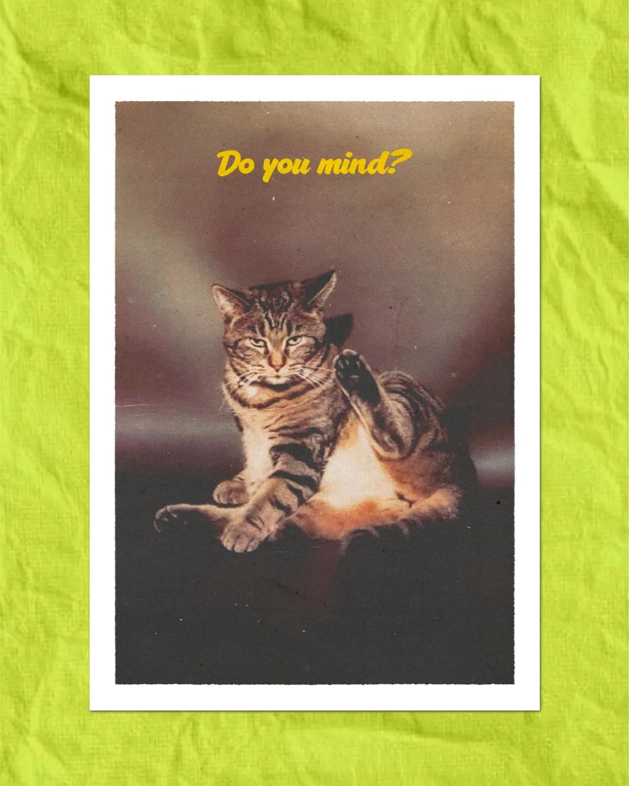 Parsnip Vintage Postcards / Pack of 4
