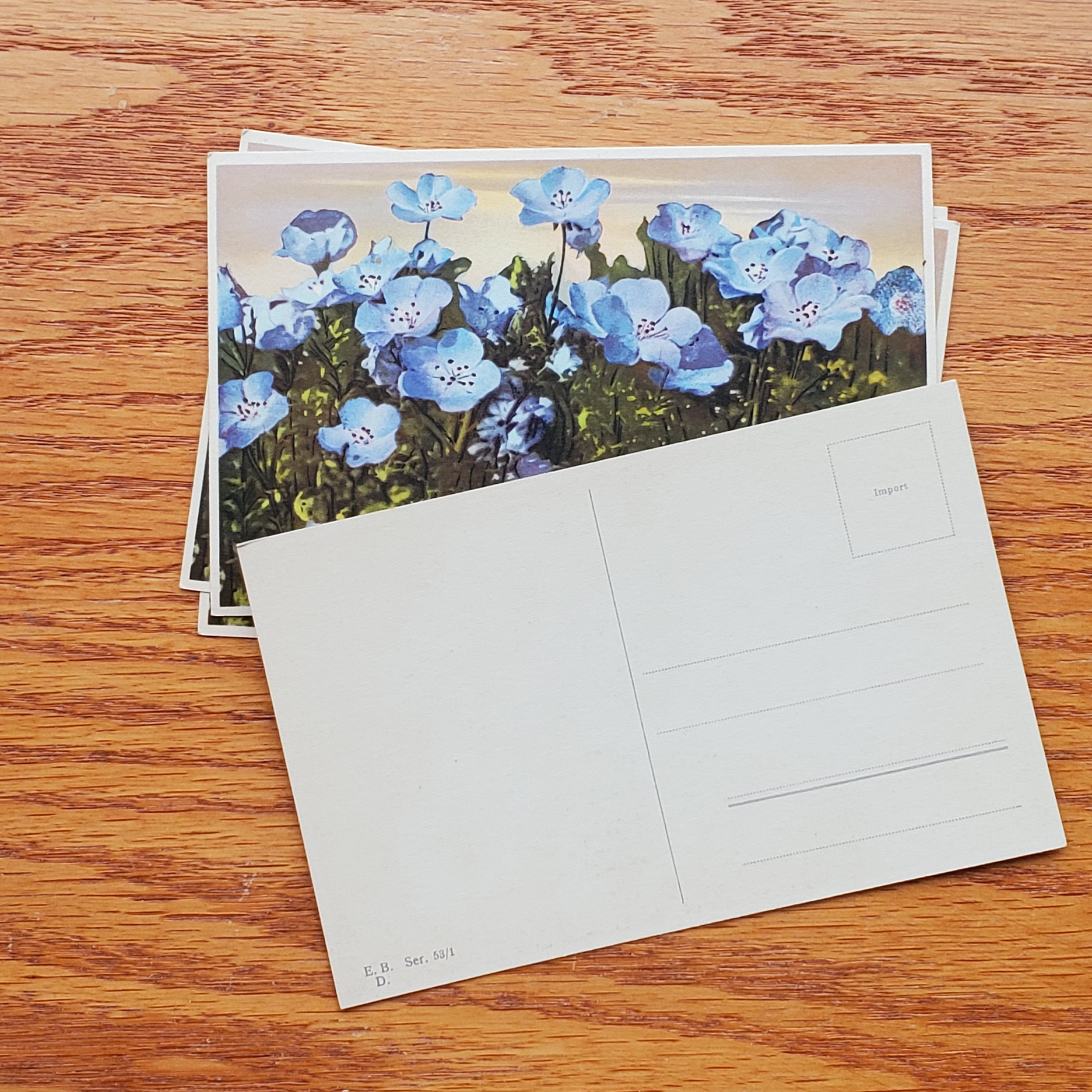 Floral Vintage E.D.B. Postcards