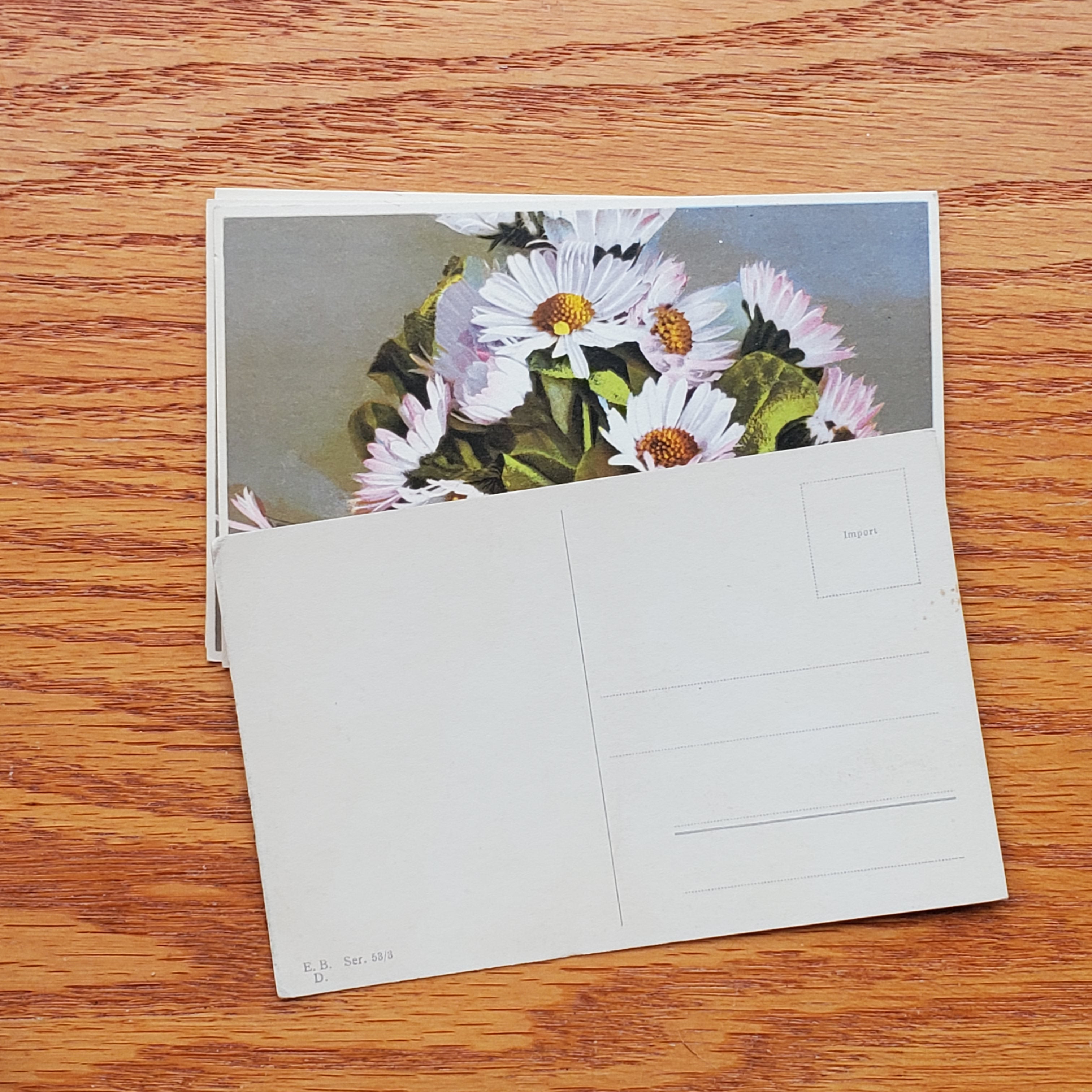 Floral Vintage E.D.B. Postcards