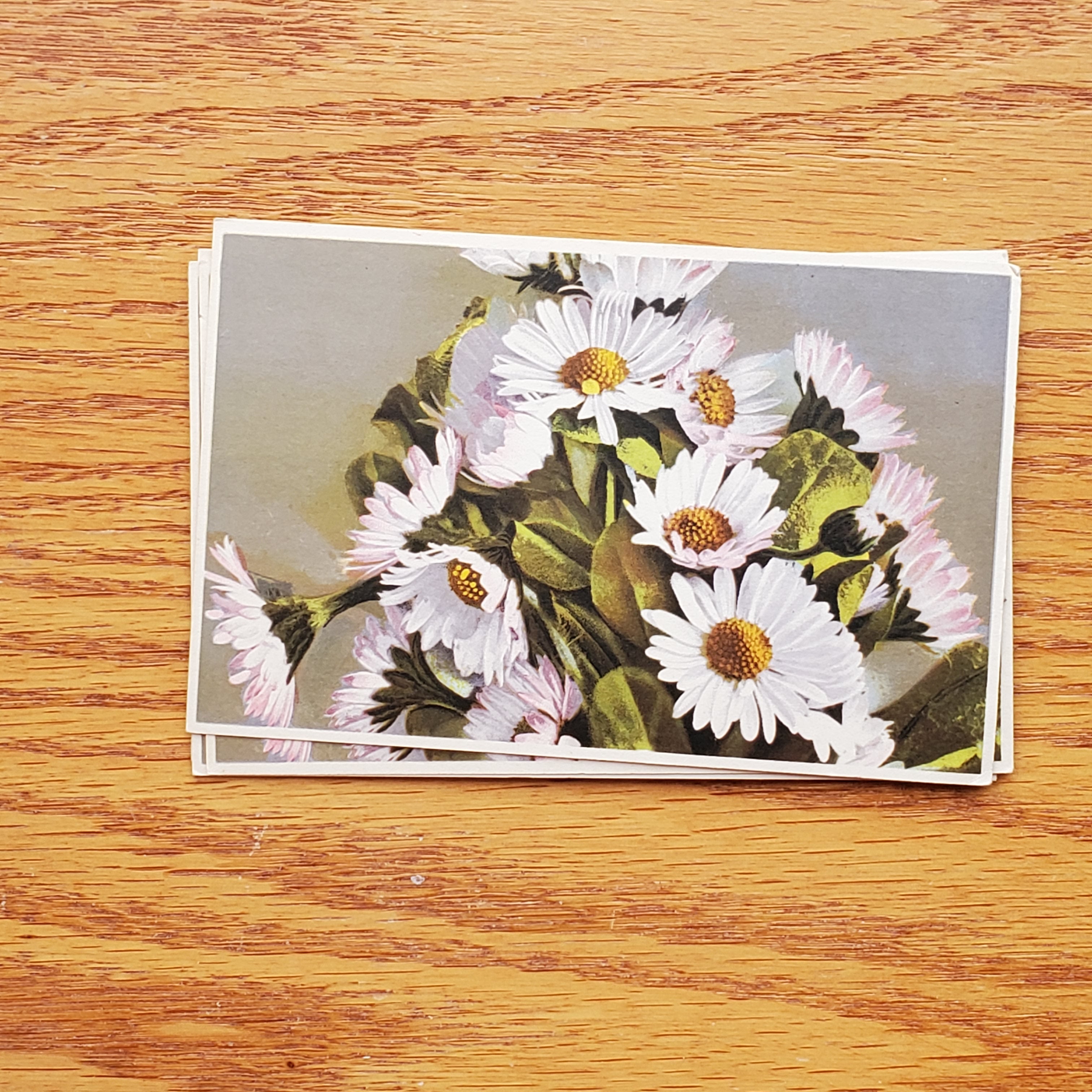 Floral Vintage E.D.B. Postcards
