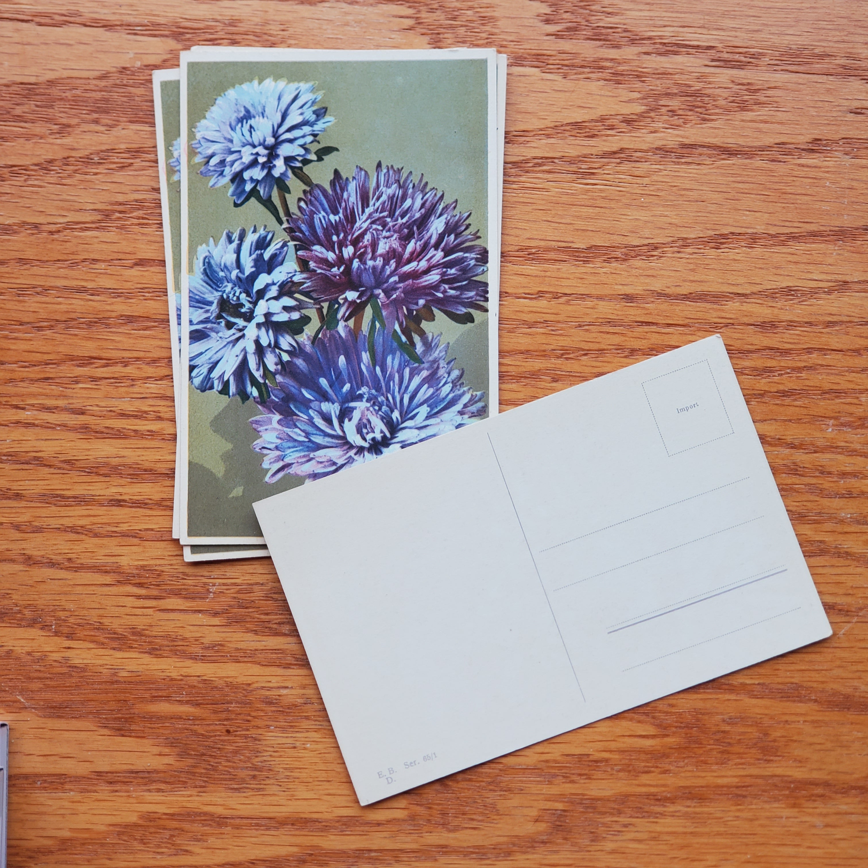 Floral Vintage E.D.B. Postcards