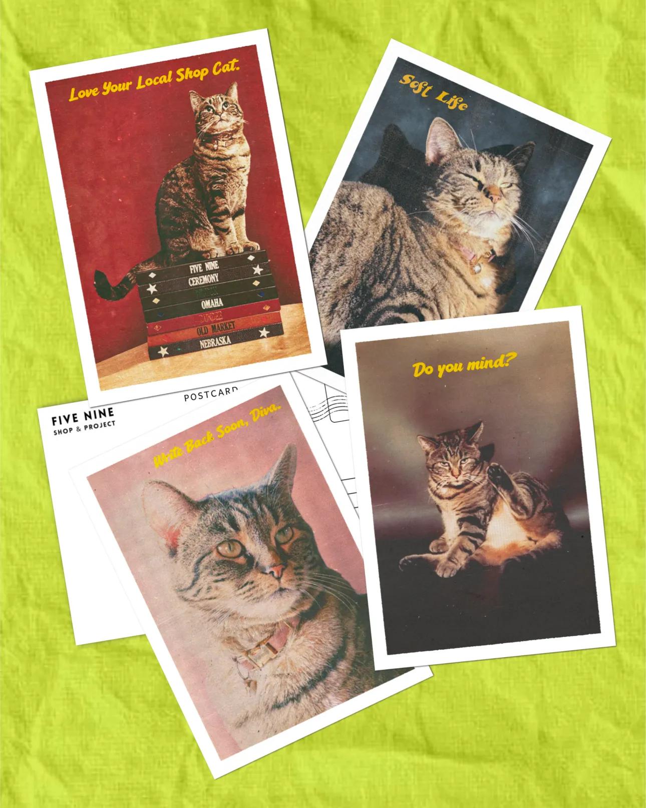 PREORDER: Parsnip Vintage Postcards / Pack of 4