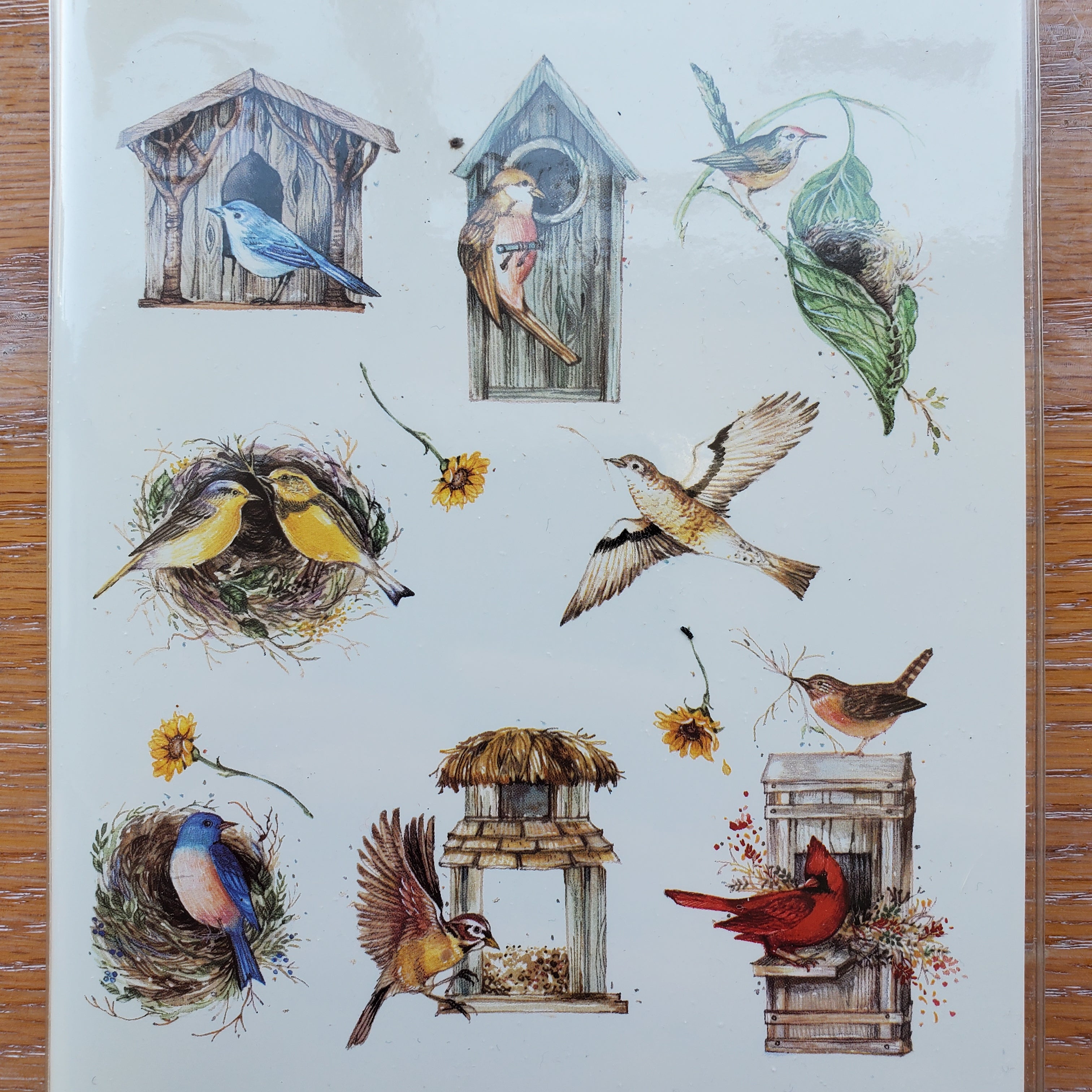 Vintage Birds Address Book