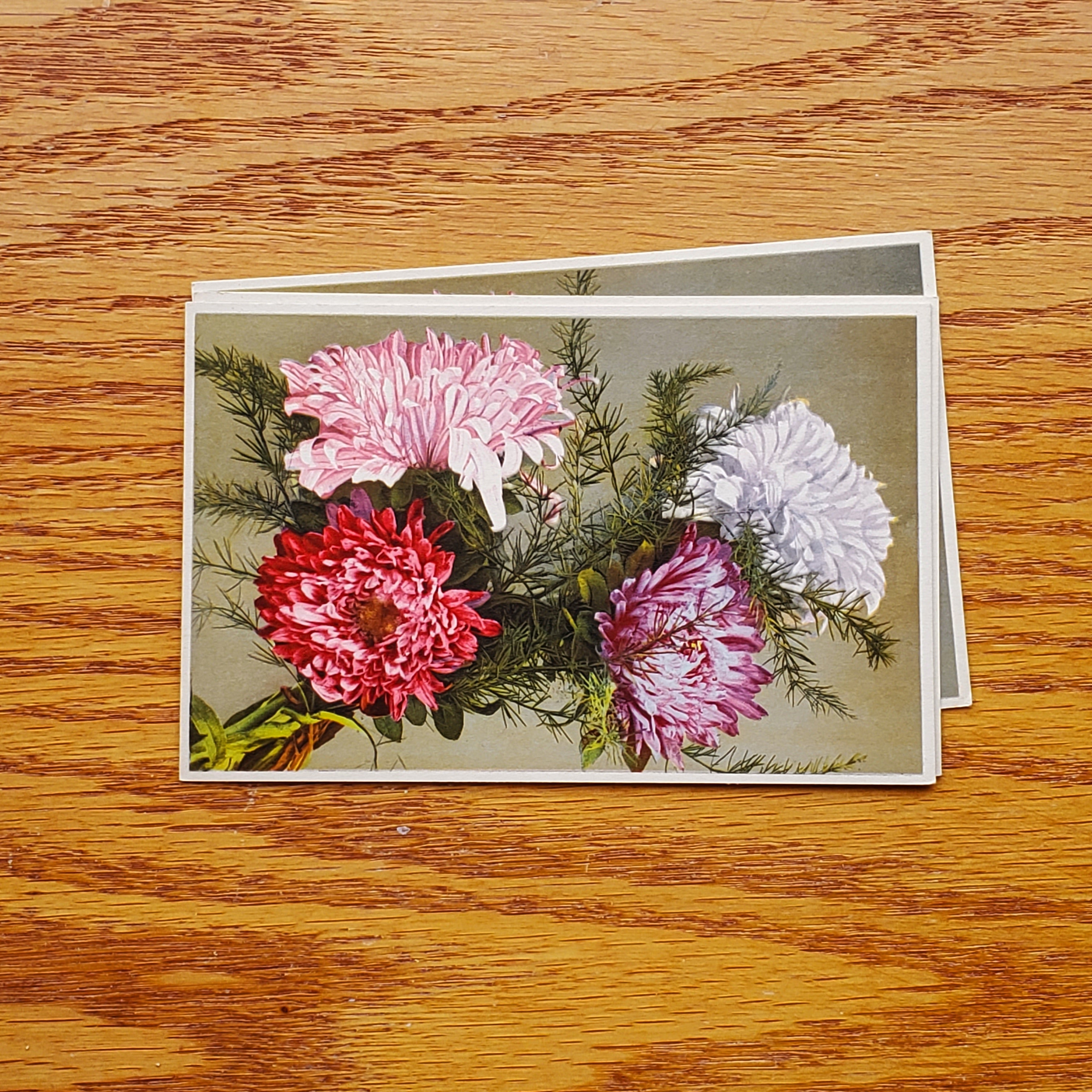 Floral Vintage E.D.B. Postcards