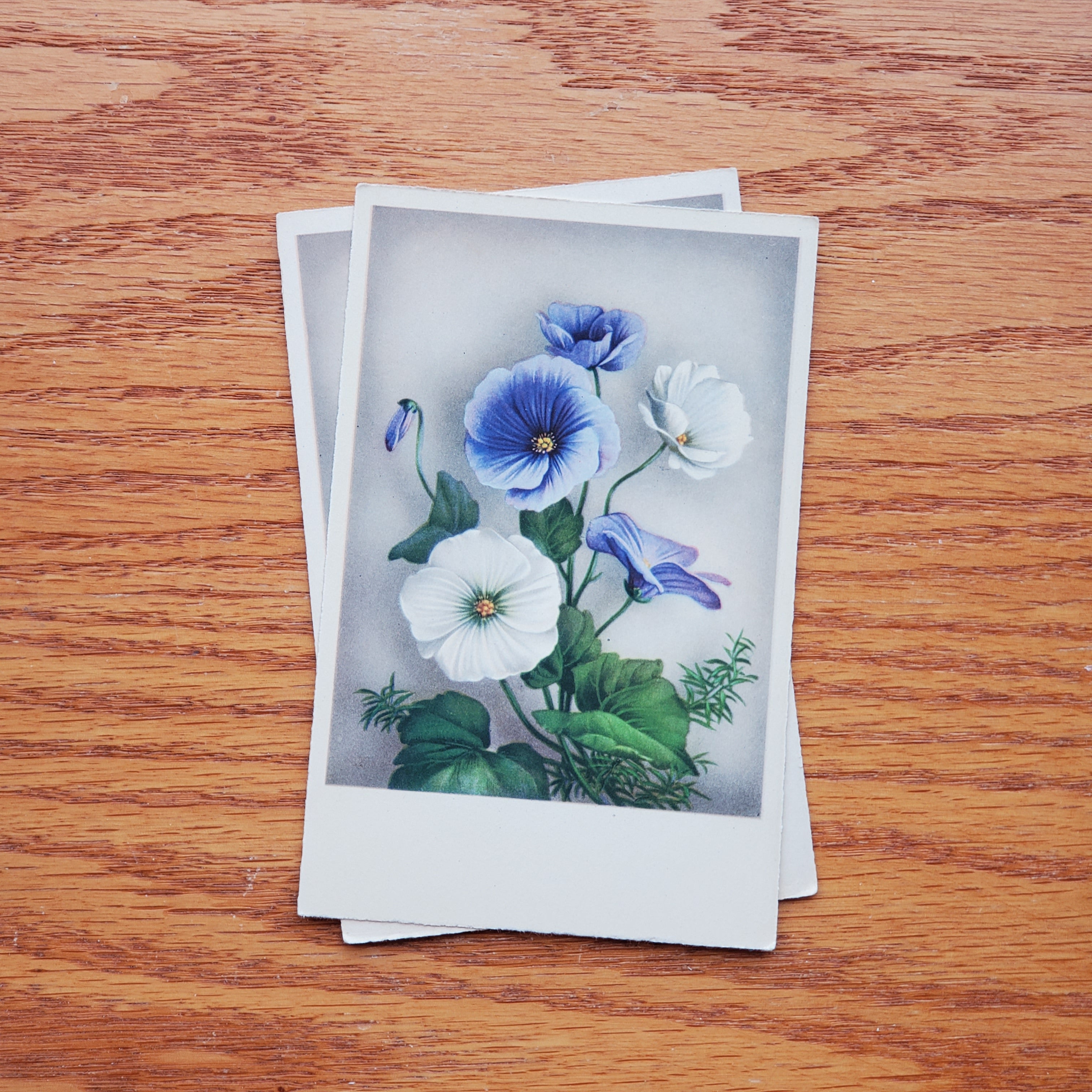 Floral Vintage H.A.&Co Postcards