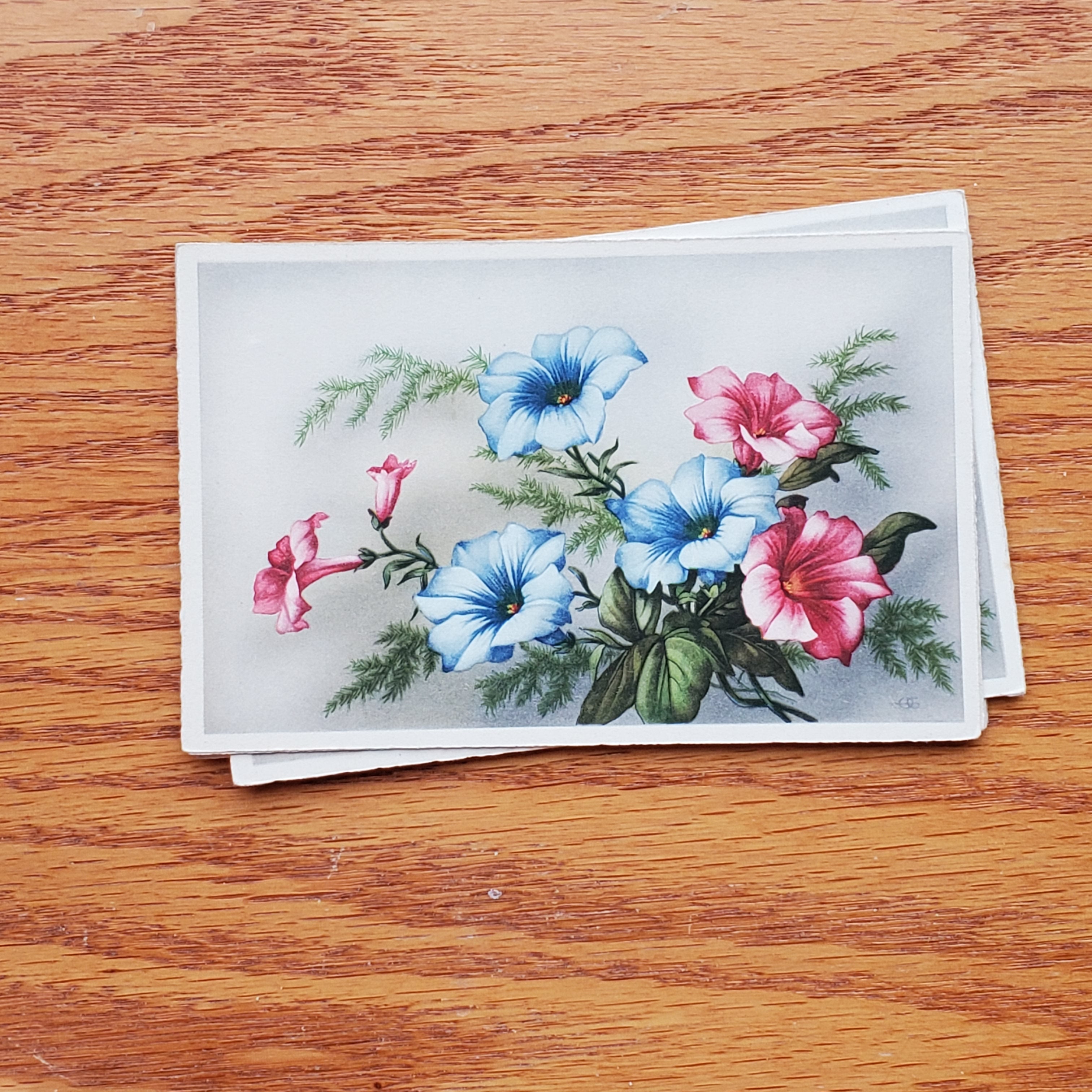 Floral Vintage H.A.&Co Postcards