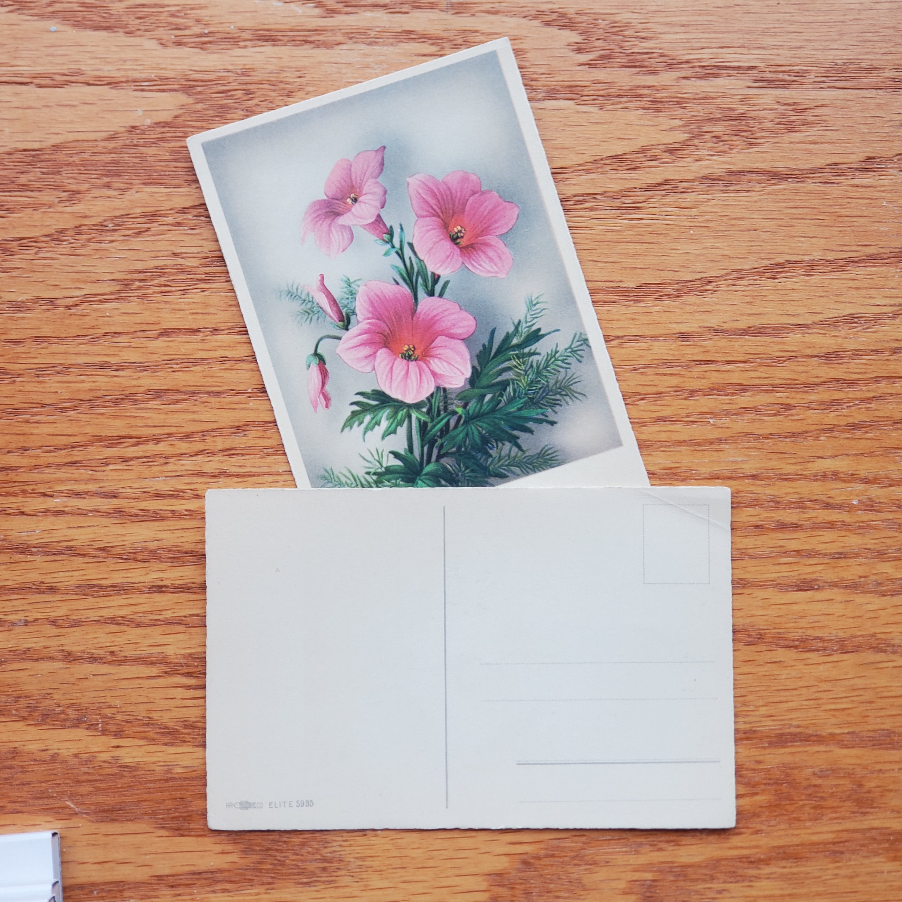 Floral Vintage H.A.&Co Postcards