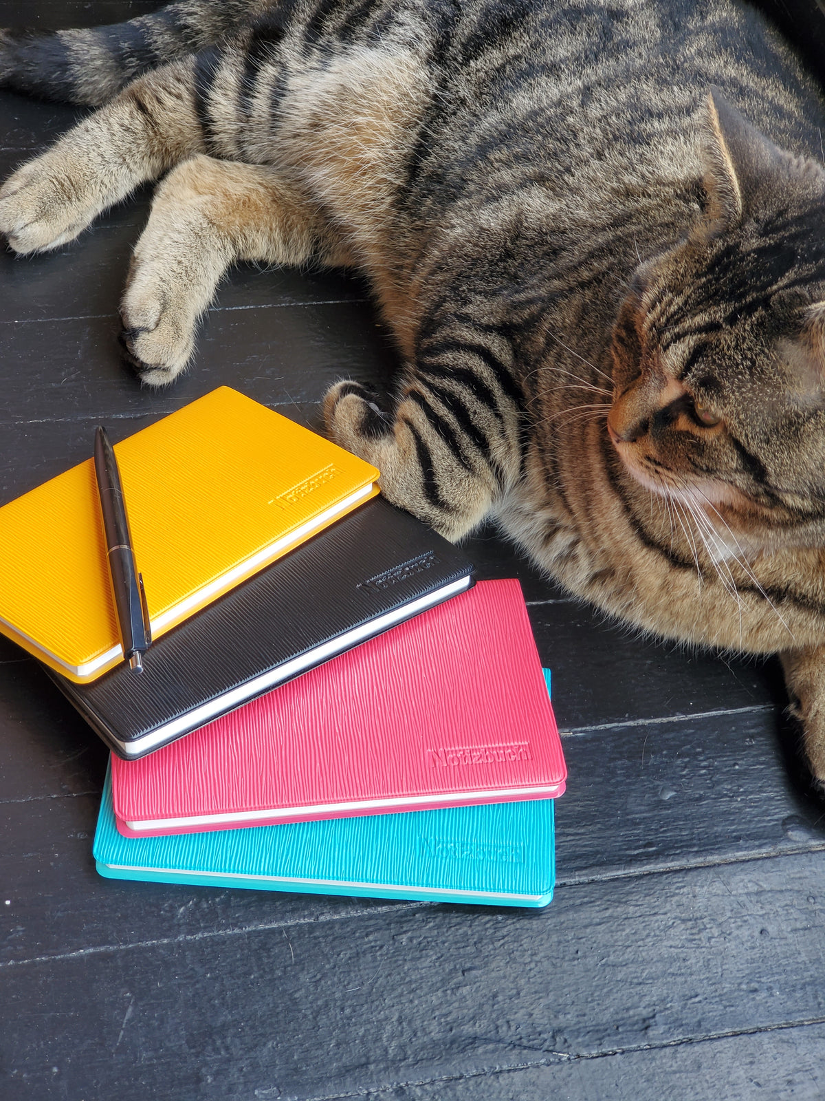 Daigo Splash Notebook / Goldenrod