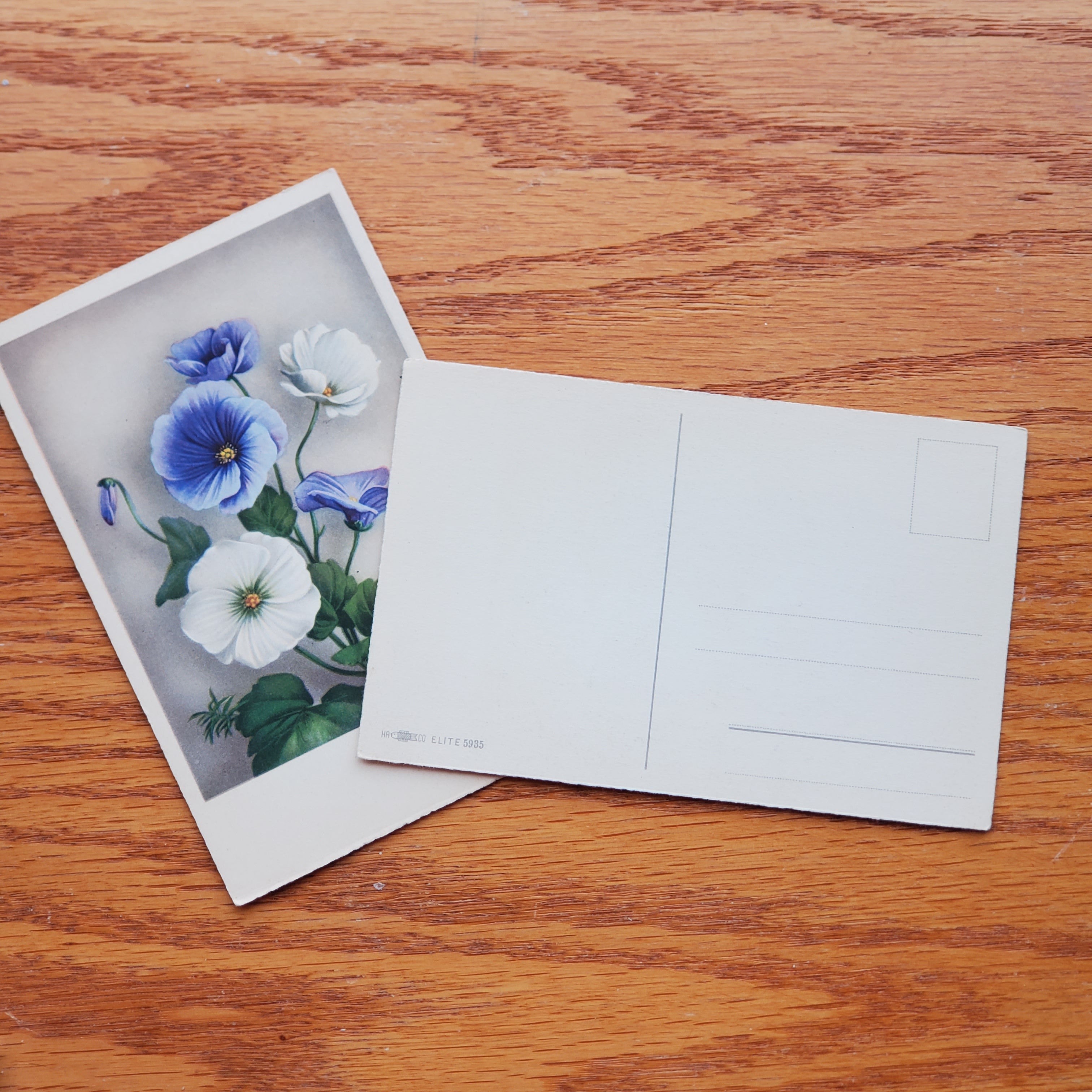 Floral Vintage H.A.&Co Postcards