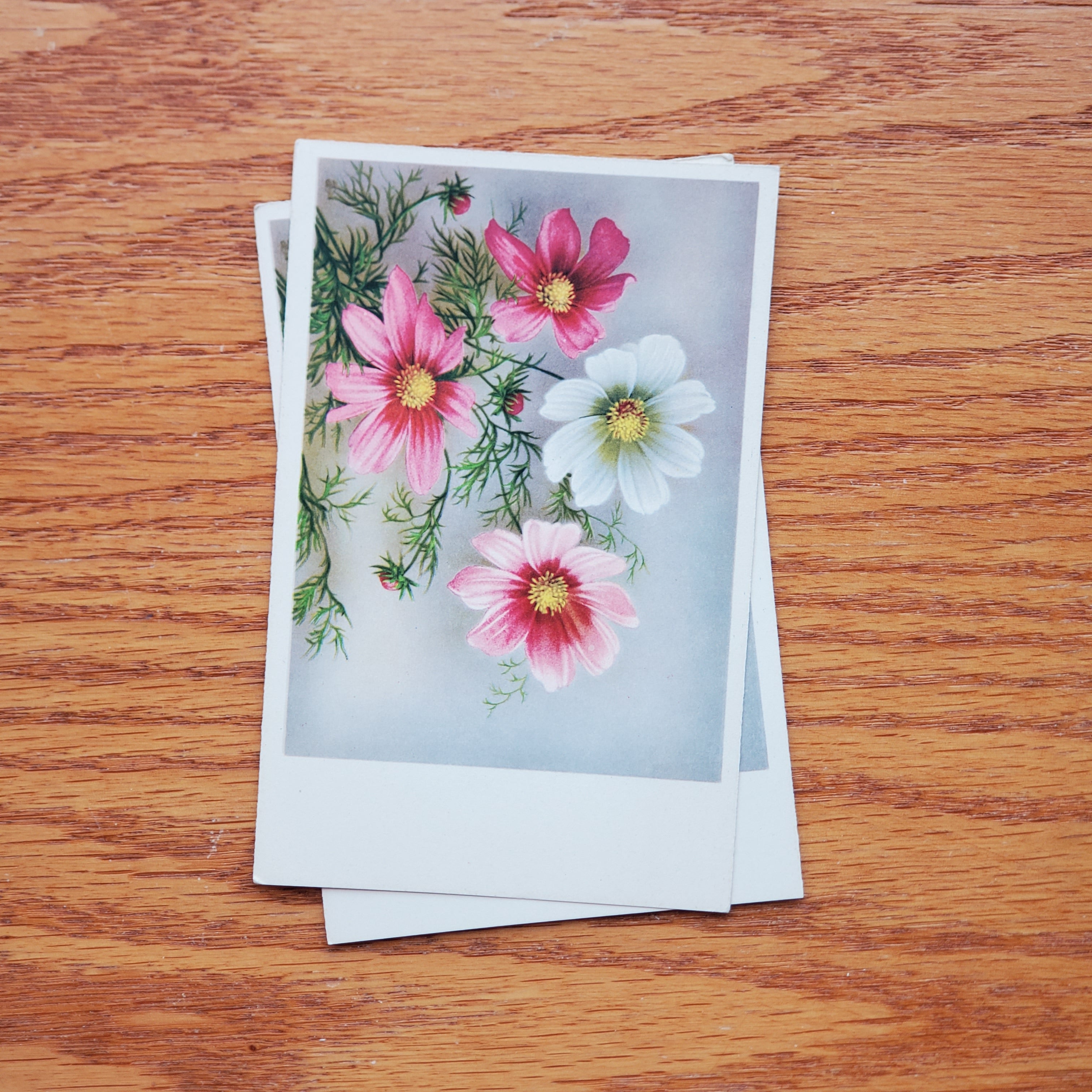 Floral Vintage H.A.&Co Postcards
