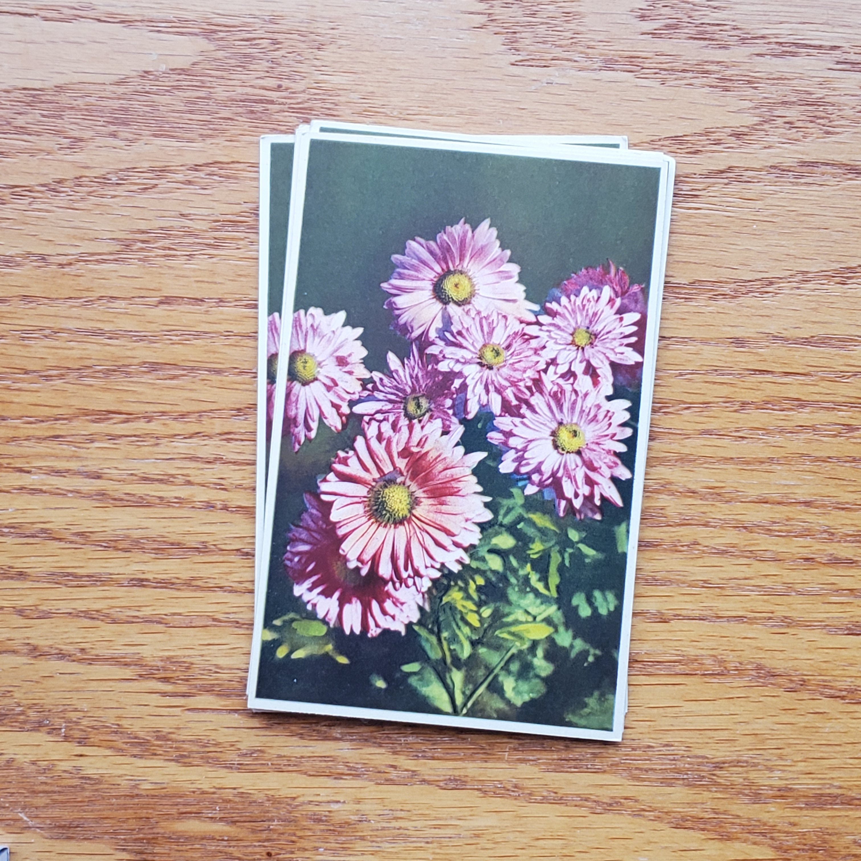 Floral Vintage E.D.B. Postcards