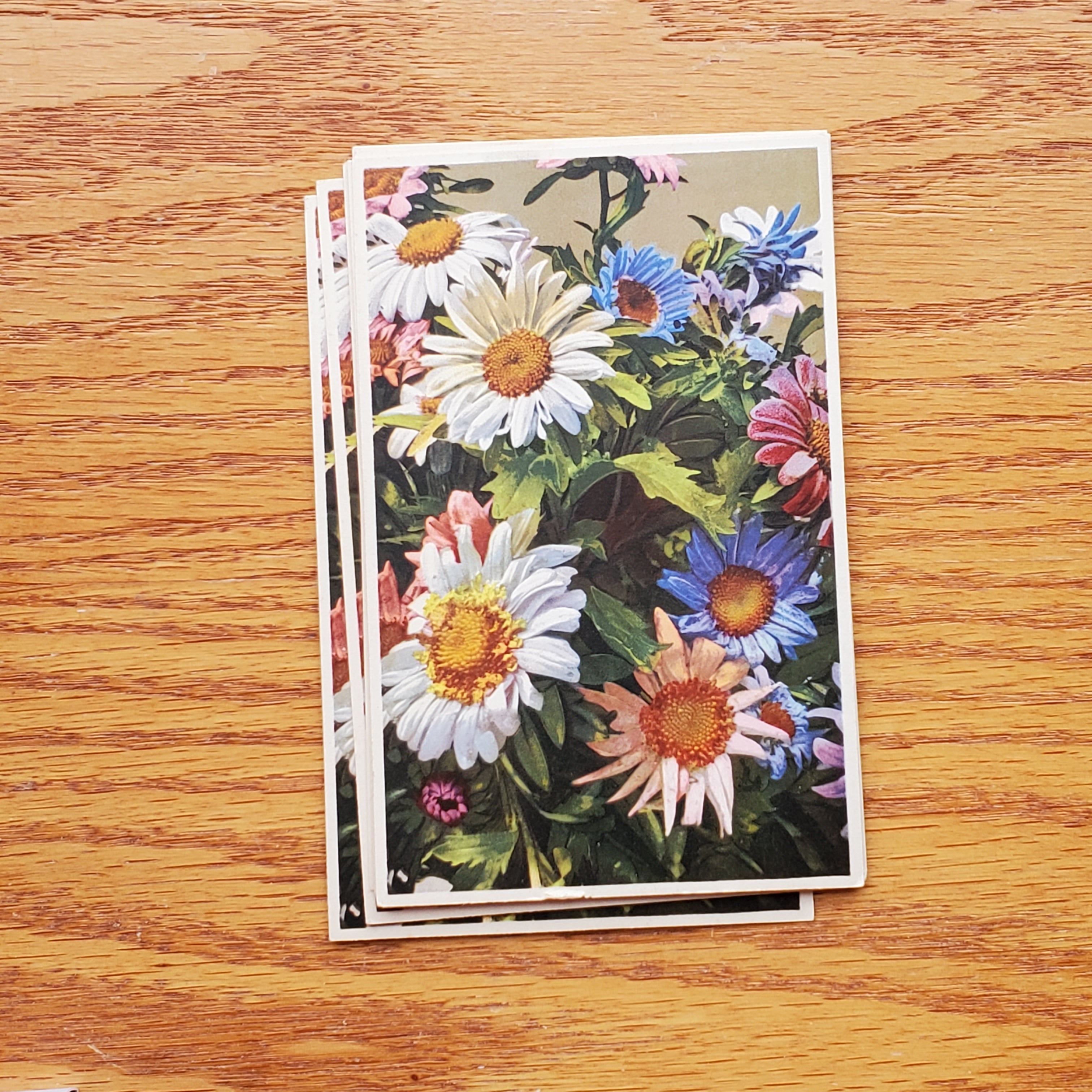 Floral Vintage E.D.B. Postcards