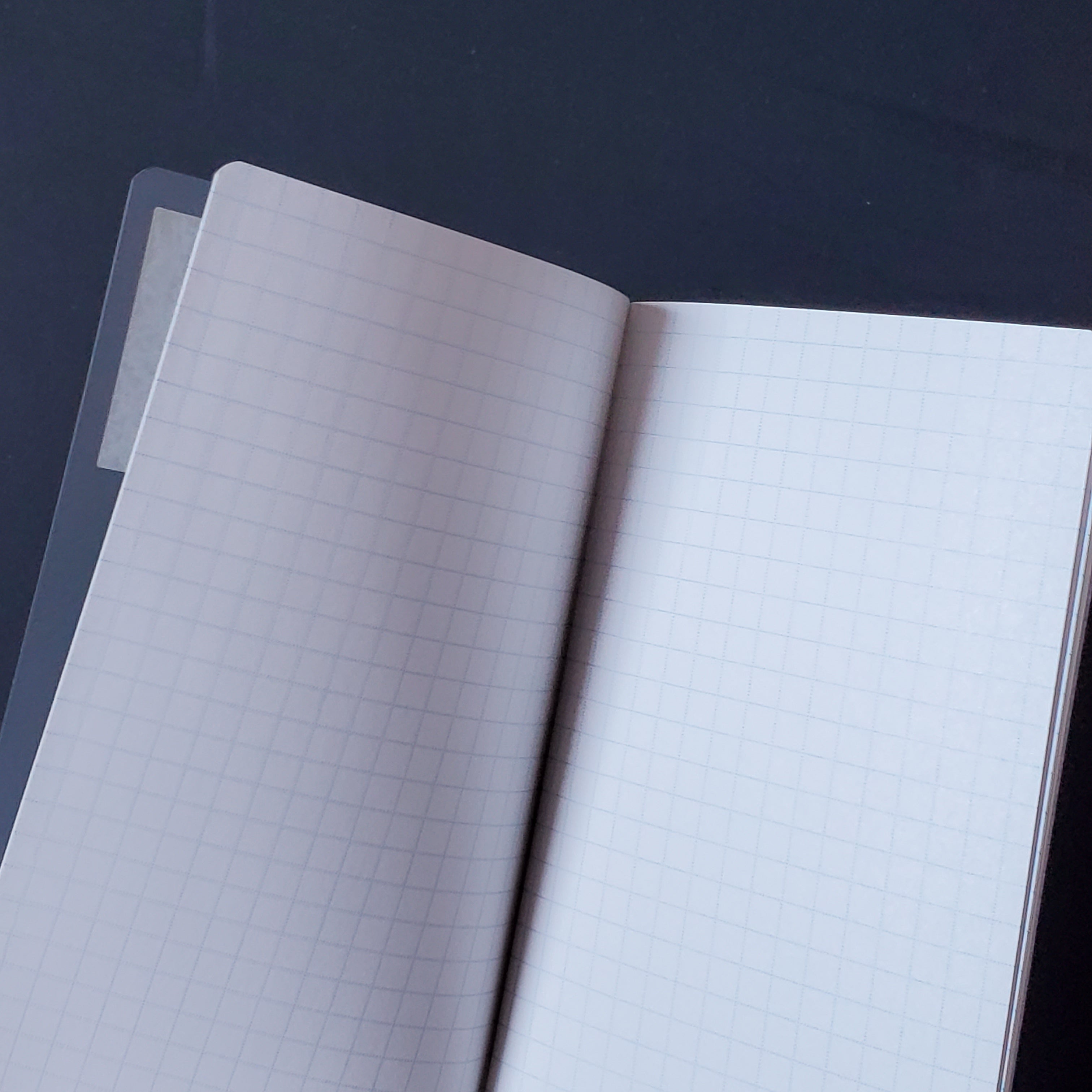 Daigo Water Repellant Notebook / Clear
